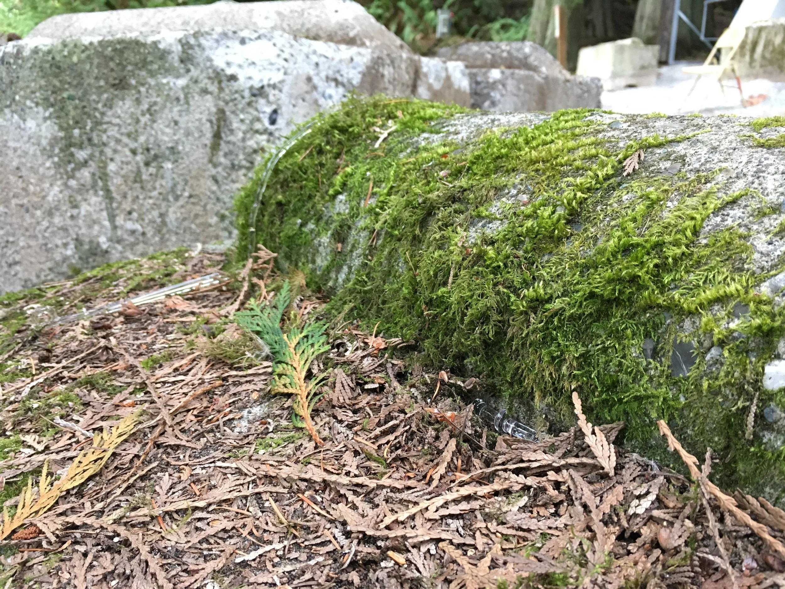 2019-09-07 09.24.21.jpg