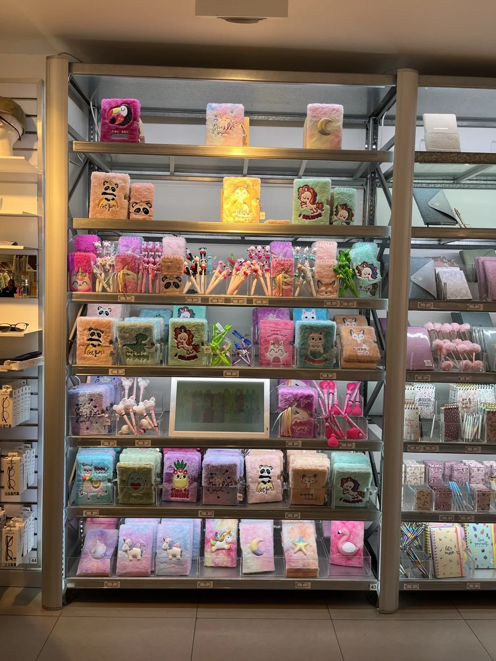 Fluffy Notebooks.JPEG