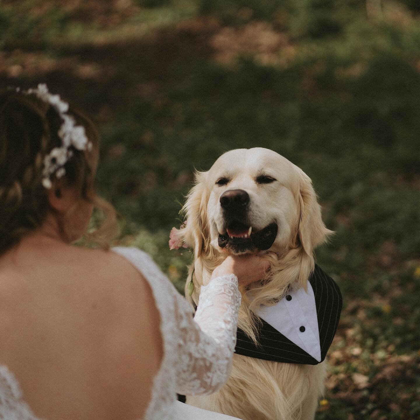 The woof of honor.

As photographers, we've witnessed countless beautiful moments, but having a 'Woof of Honor' at the wedding stole the show. Dogs truly add an extra touch of magic to any occasion, and we couldn't be happier to have captured this sp