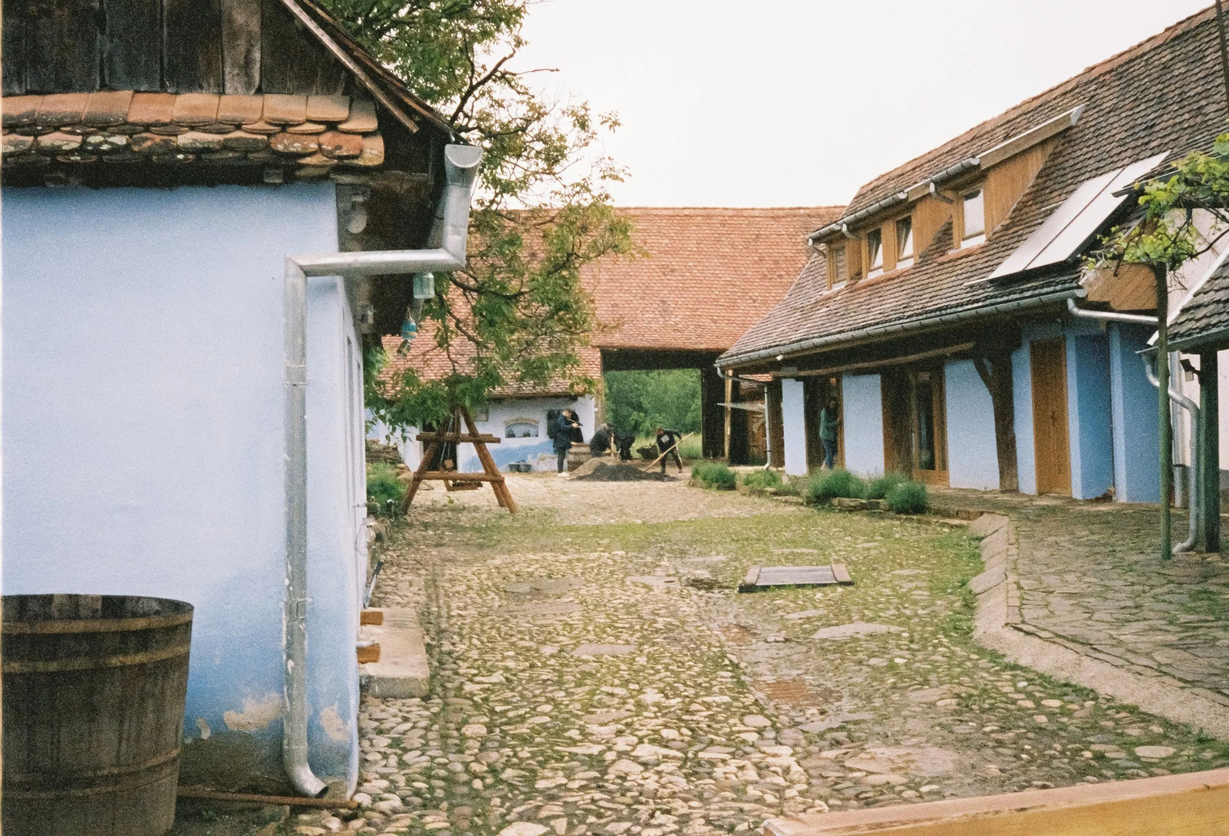 000103.jpg