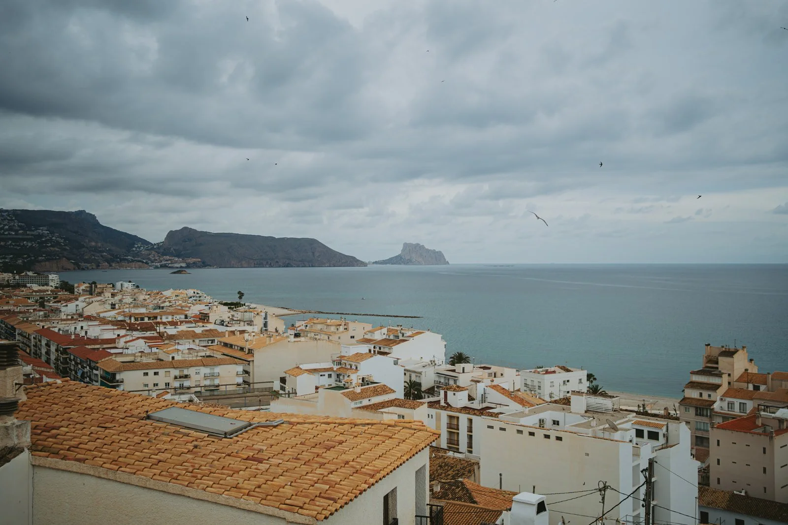 DSC08813.jpg