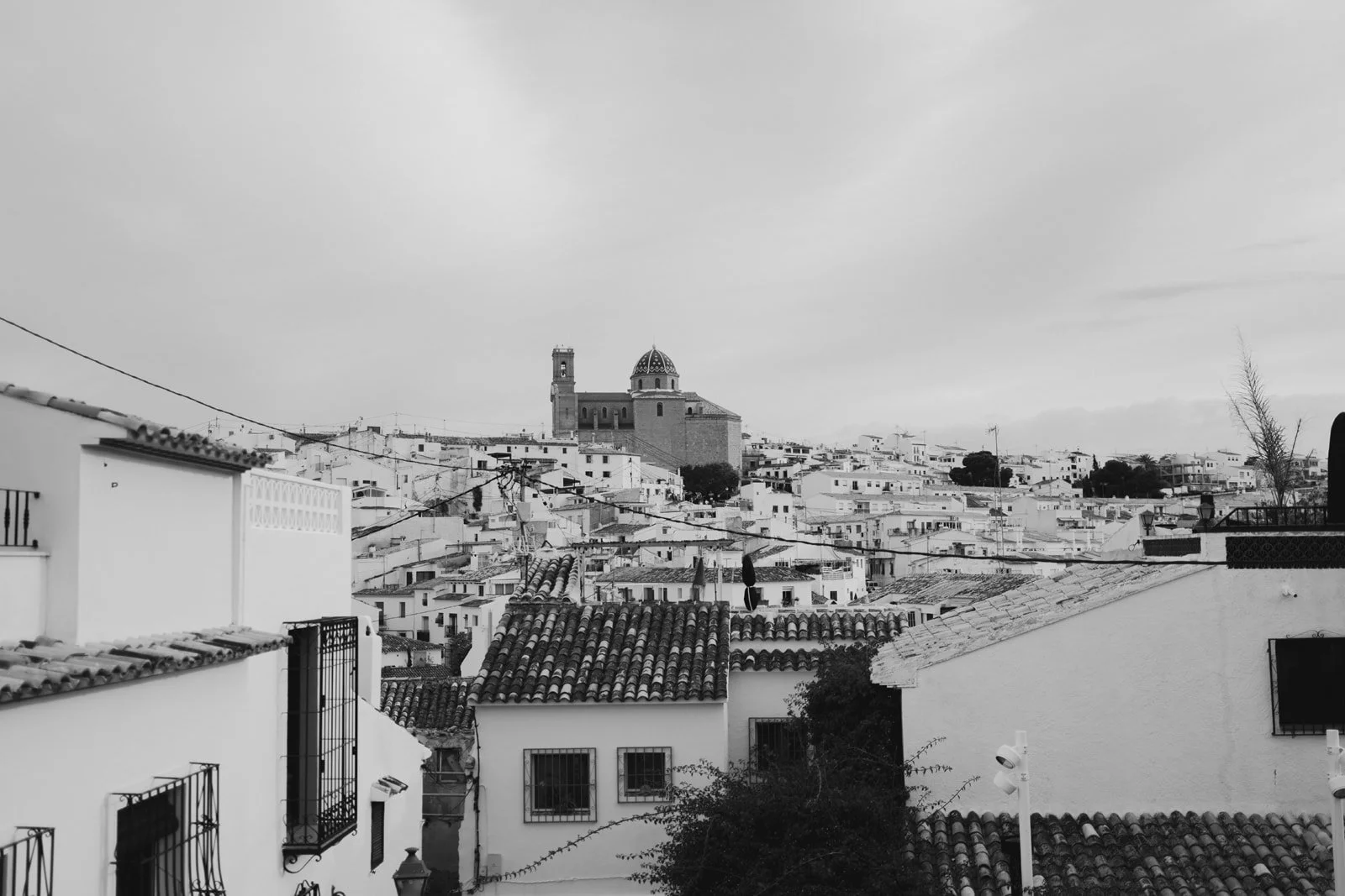 DSC02842.jpg