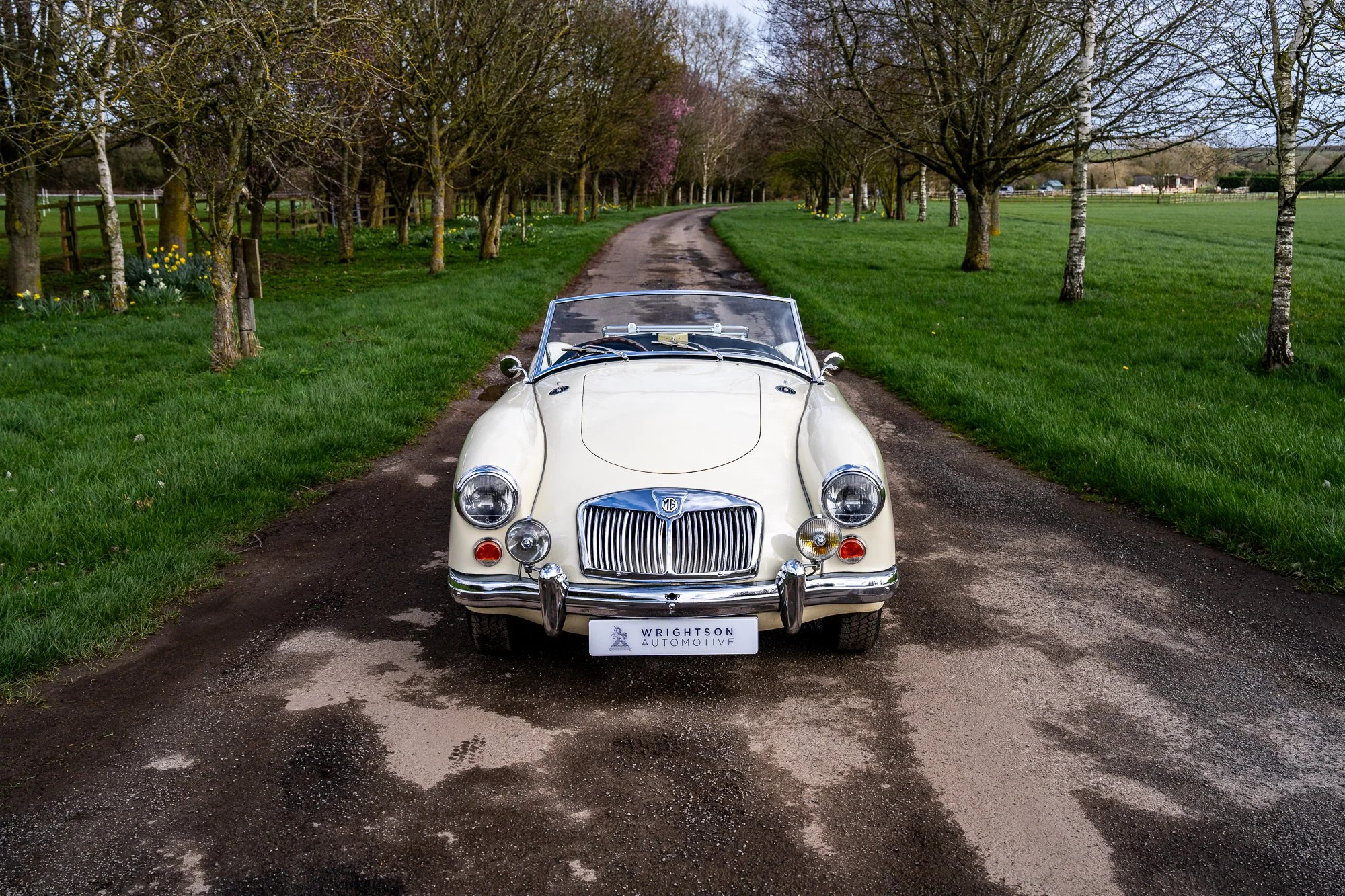 MGA-2.jpg
