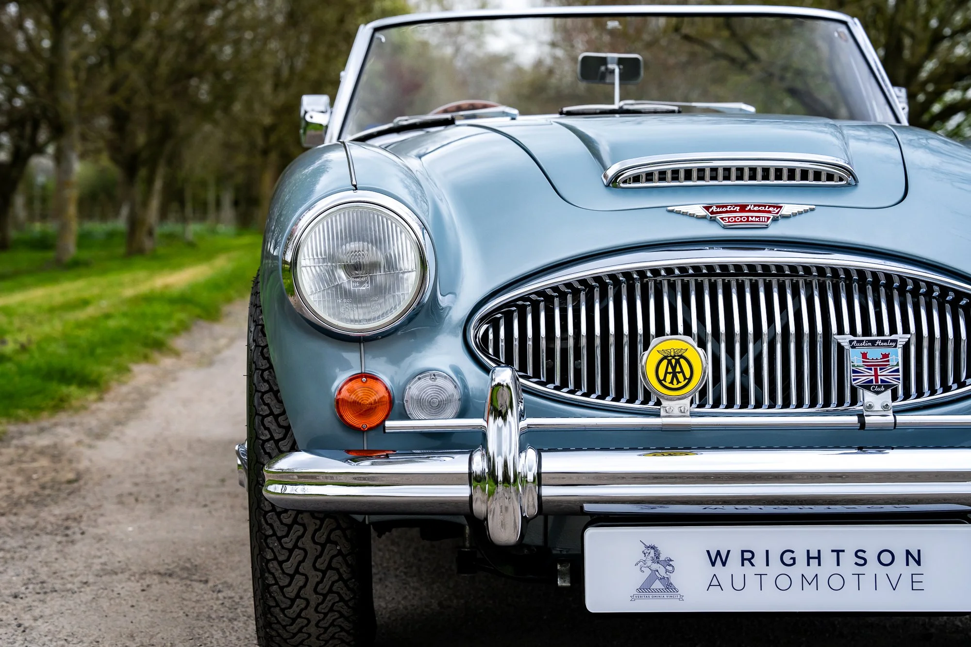 Austin Healey 3000_exterior-11.jpg