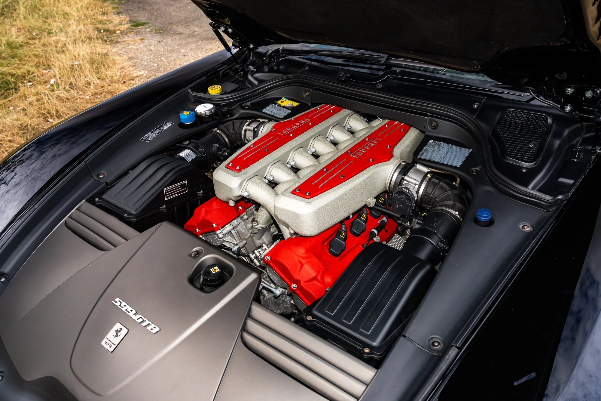 Ferrari_599_GTB_engine-9.jpg