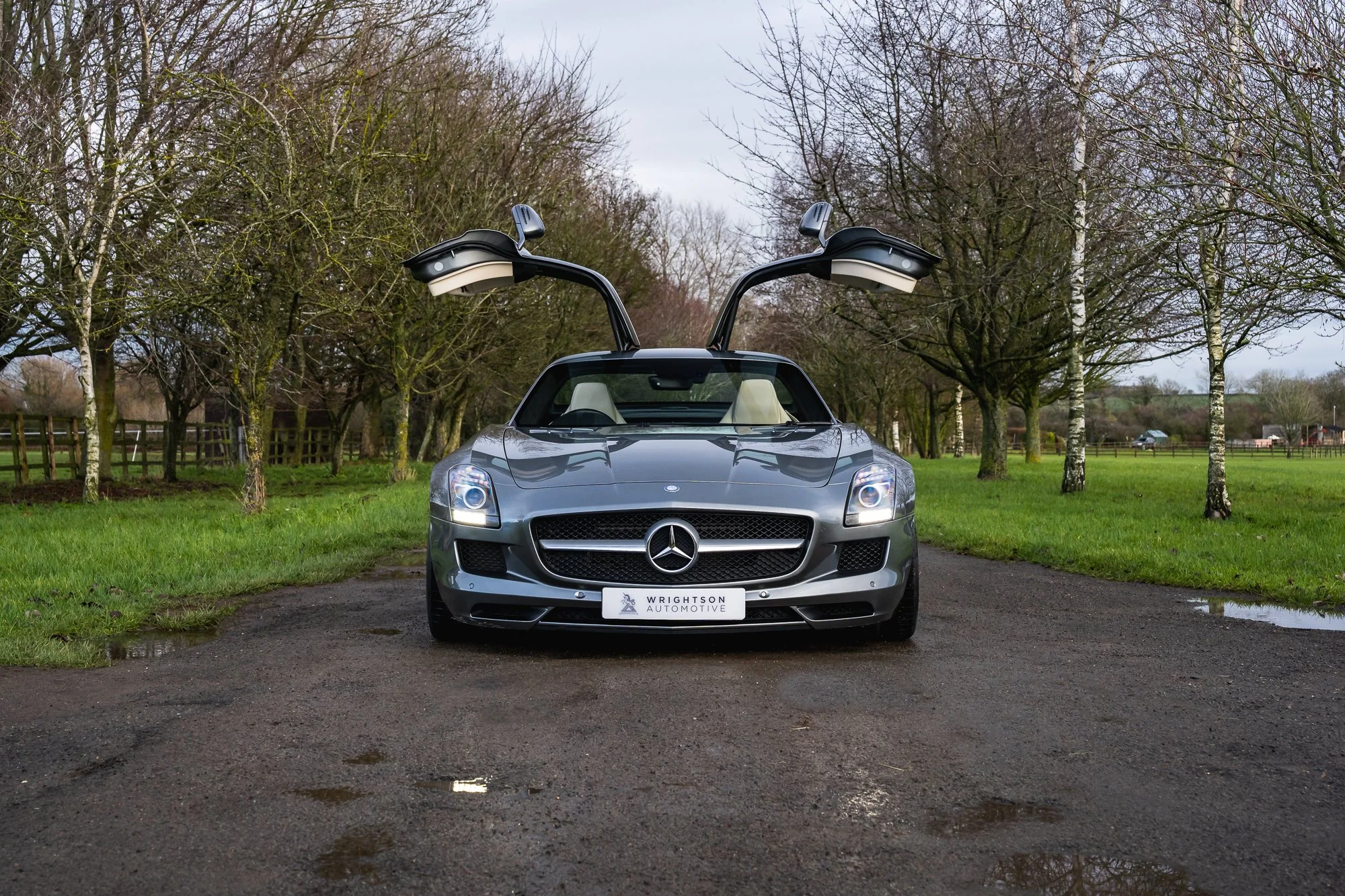 Mercedes-Benz_SLS_AMG-12.jpg
