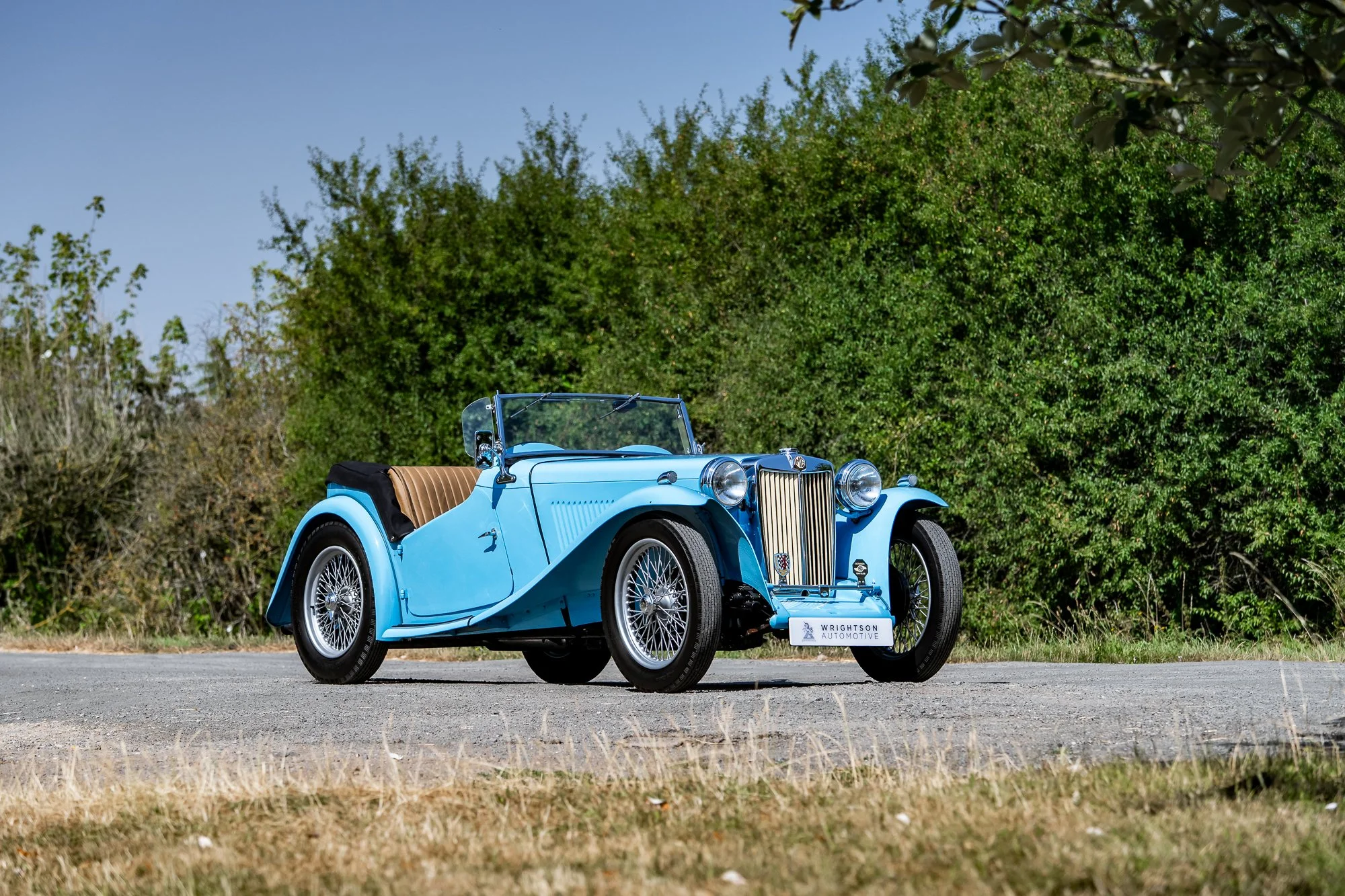 MG_TC-16.jpg