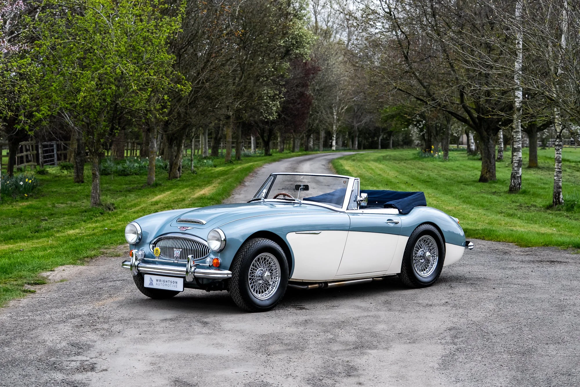 Austin Healey 3000-17.jpg