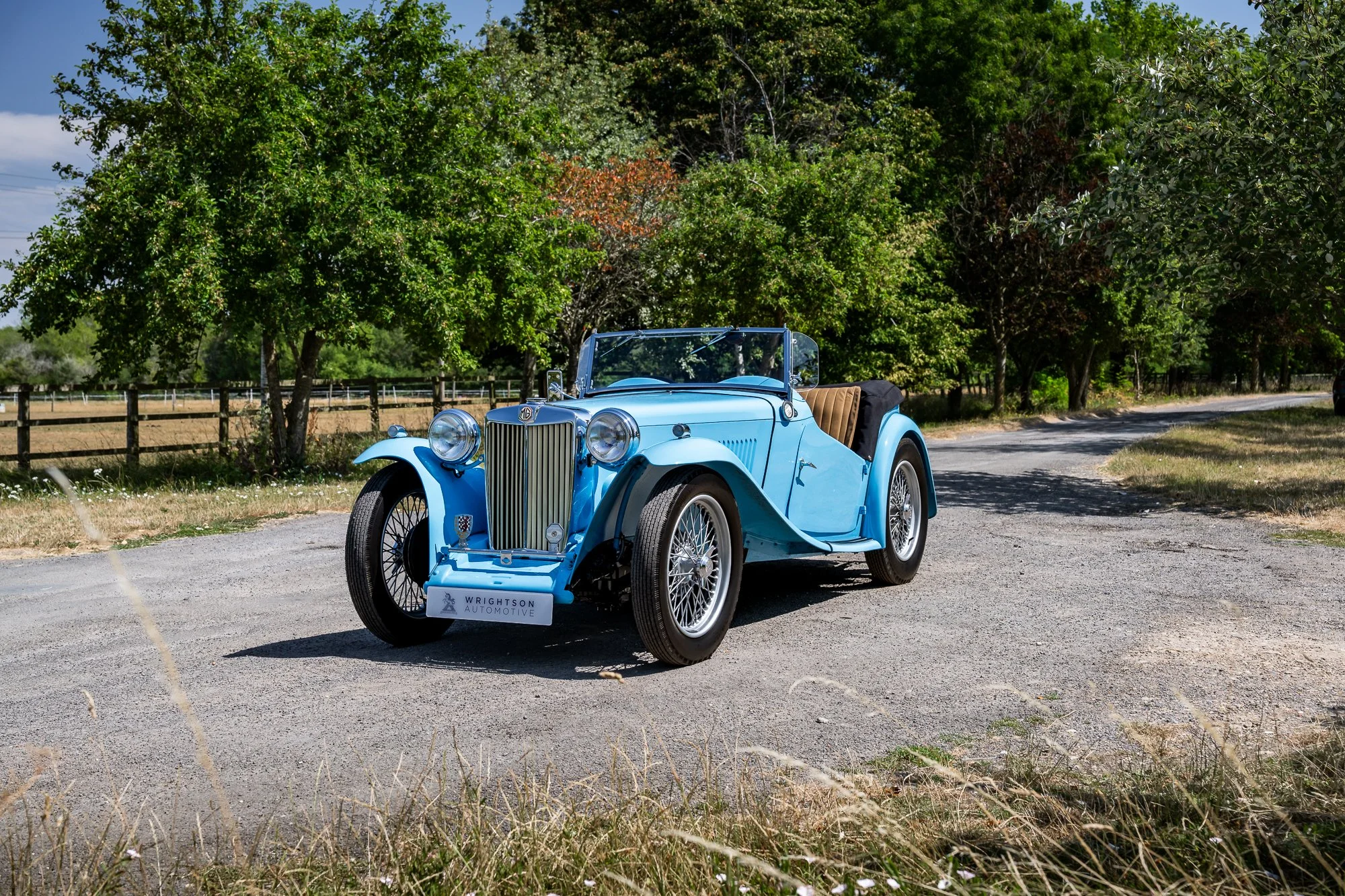 MG_TC-10.jpg