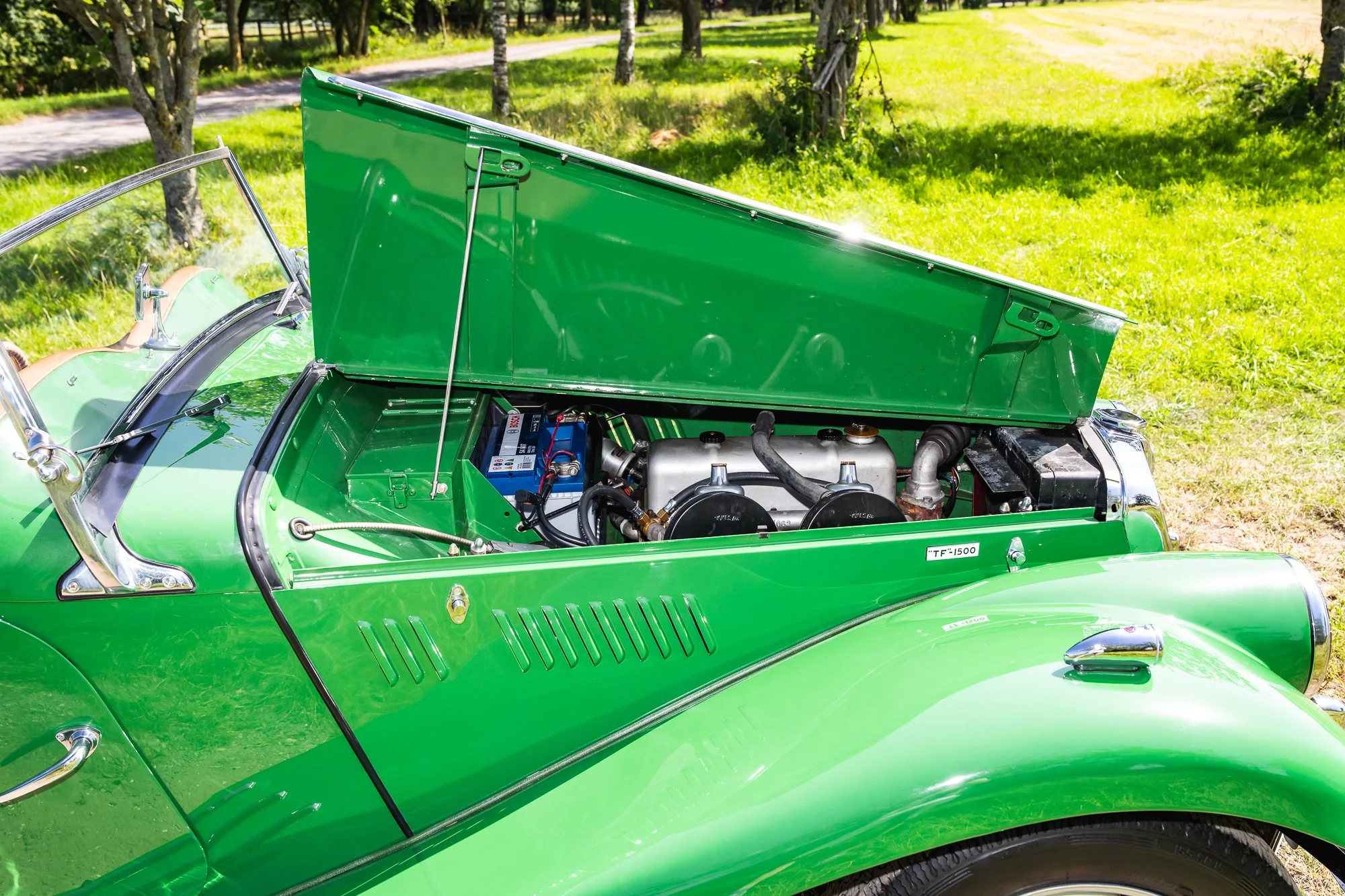 MG_TF_engine-4.jpg