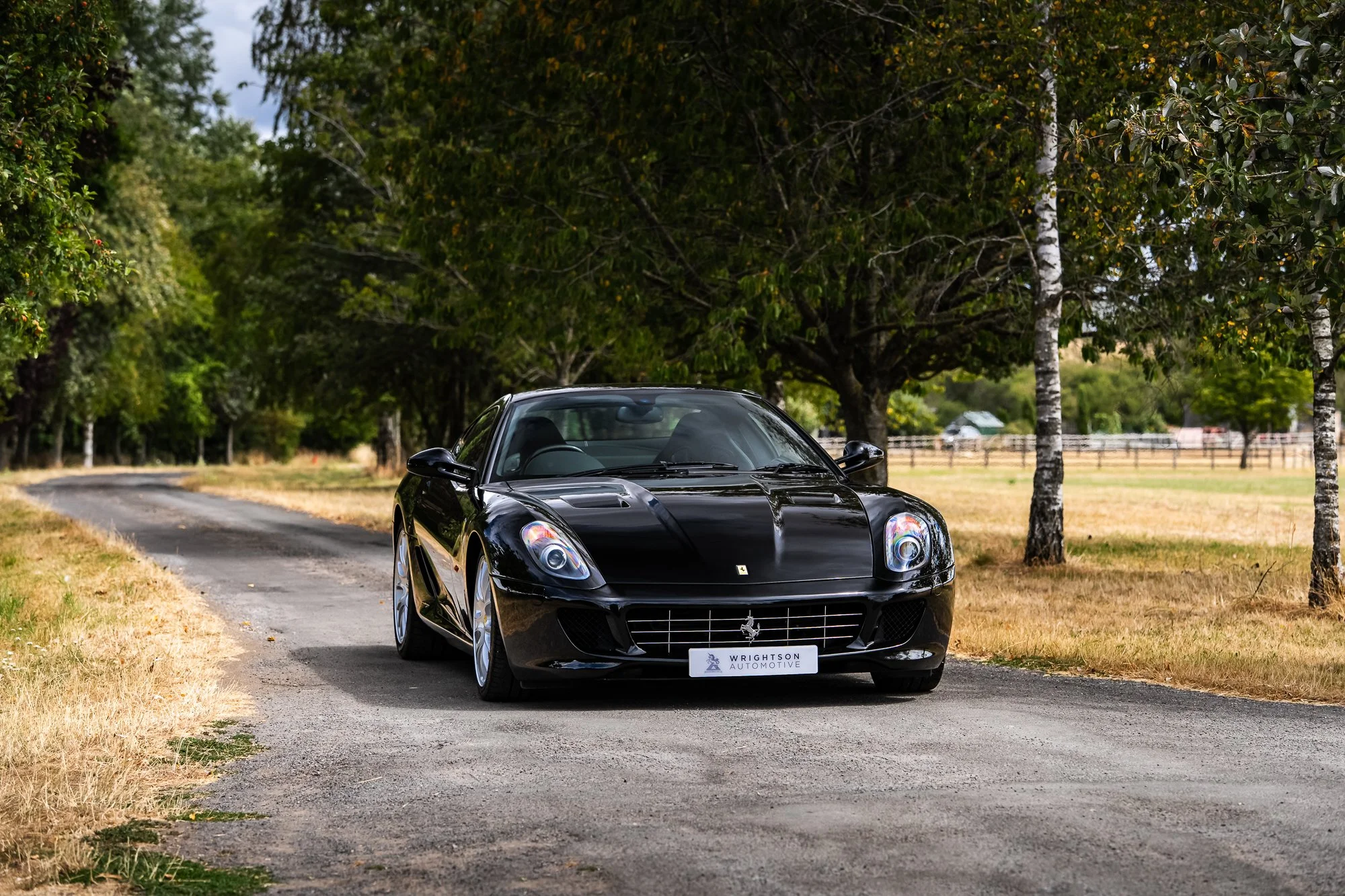 Ferrari_599_GTB-17.jpg