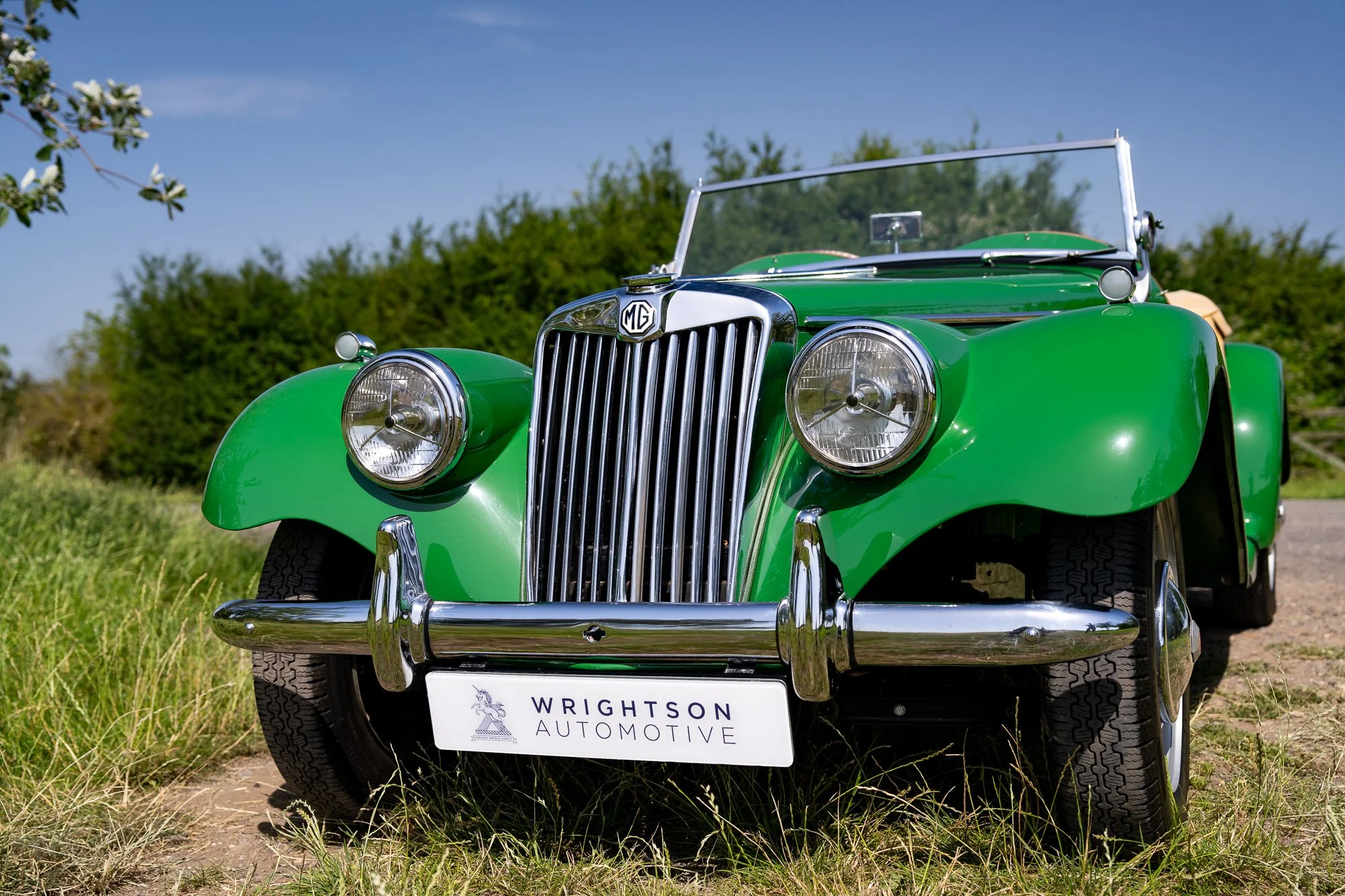 MG_TF_exterior-8.jpg