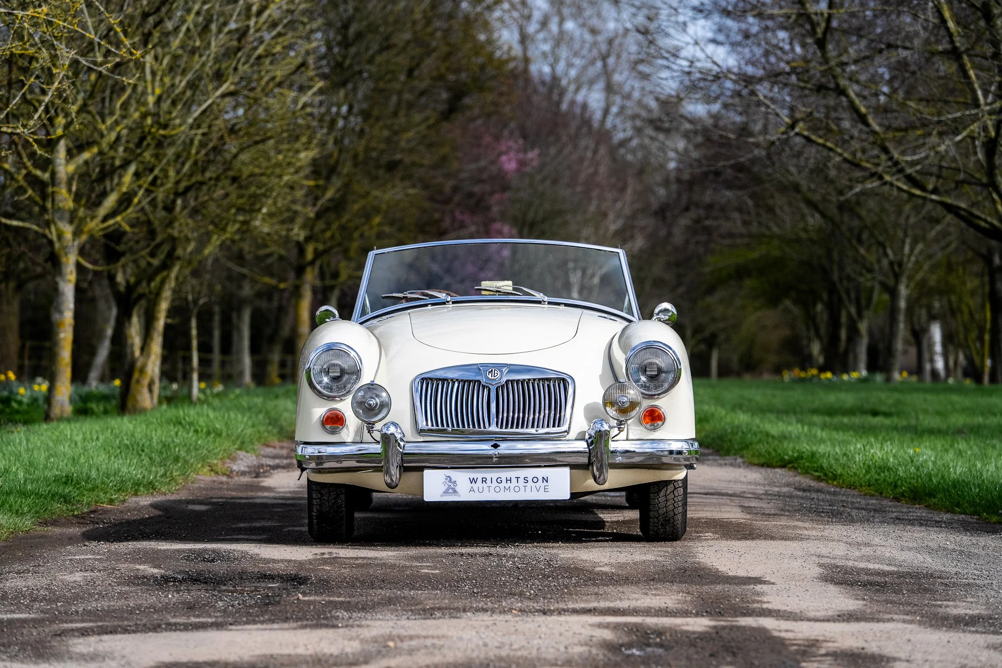 MGA-14.jpg