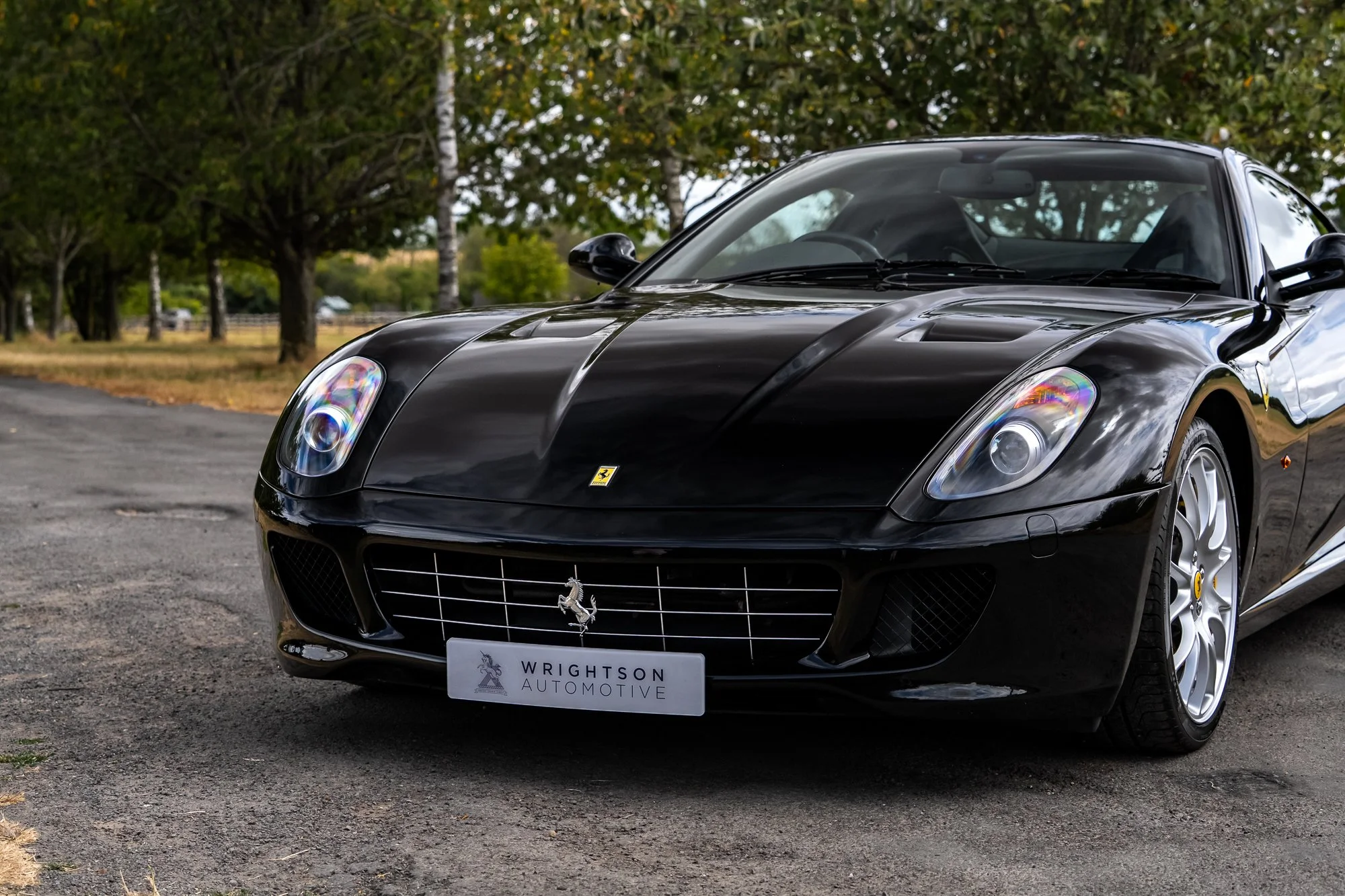 Ferrari_599_GTB_exterior-33.jpg