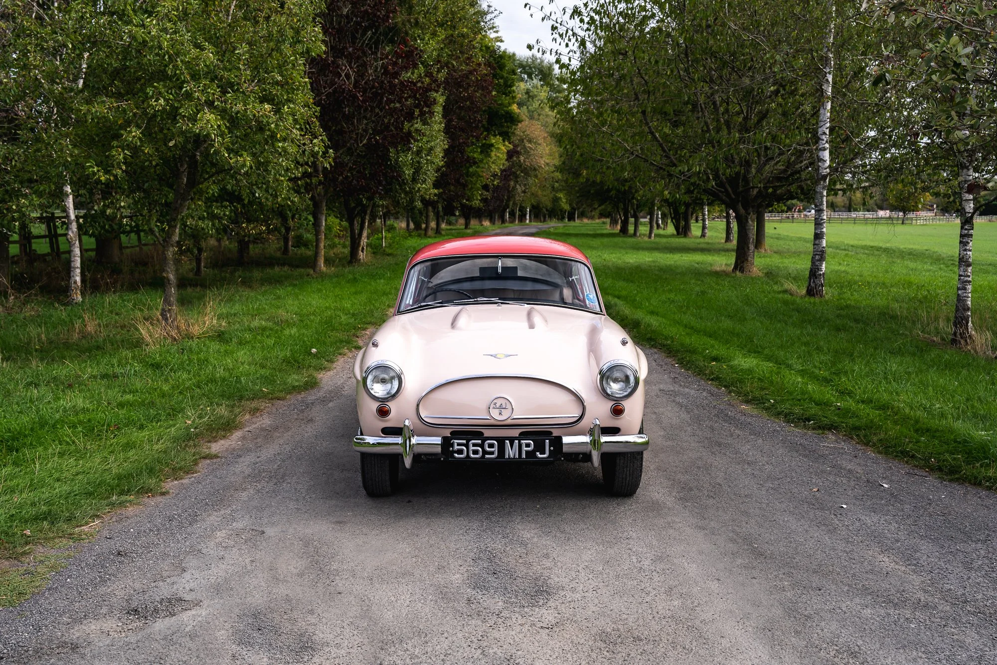 Jensen_541R-1.jpg