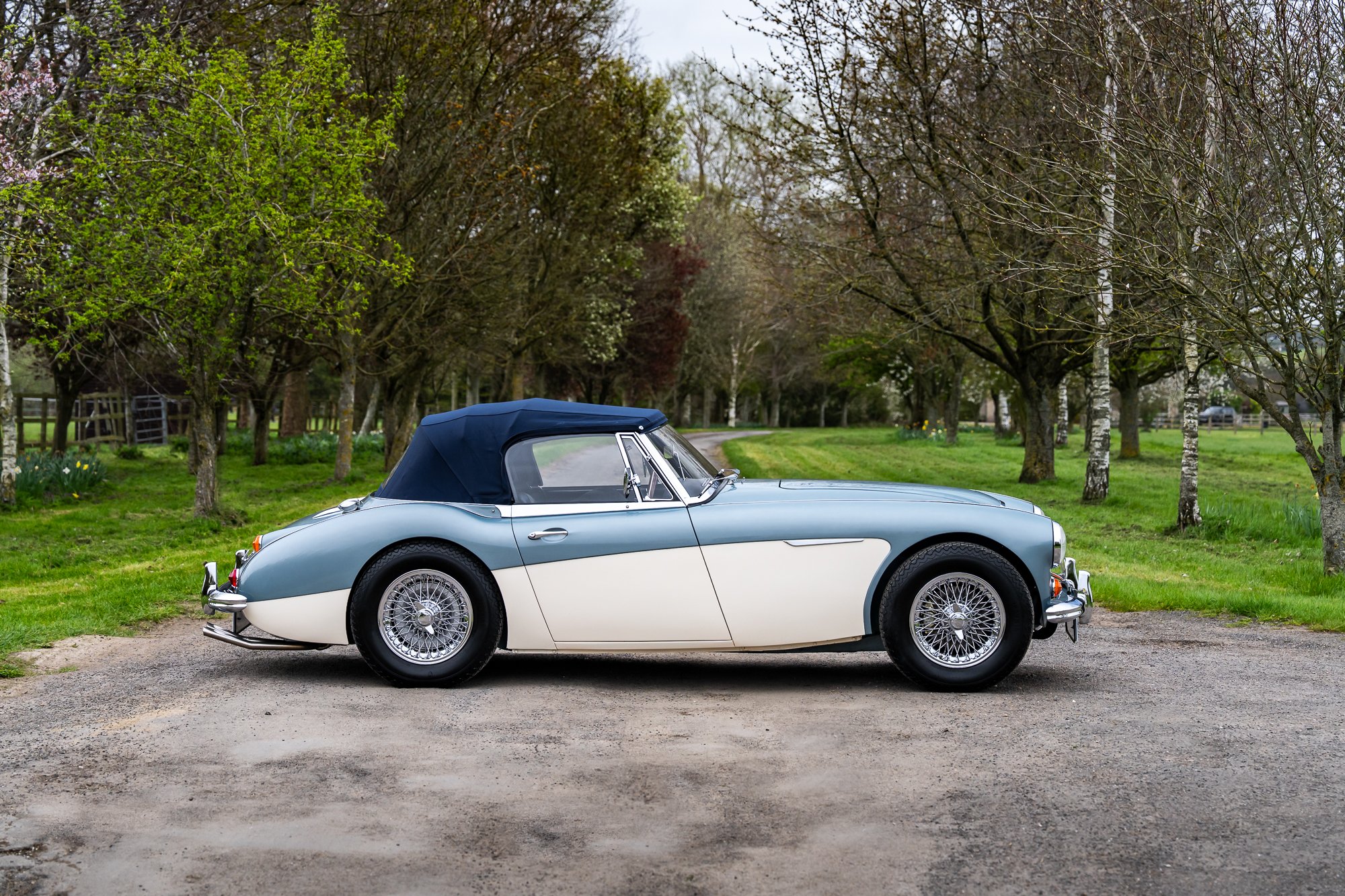 Austin Healey 3000-2.jpg