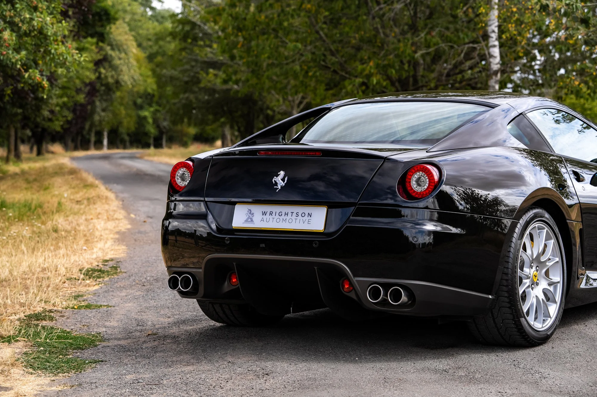 Ferrari_599_GTB_exterior-24.jpg