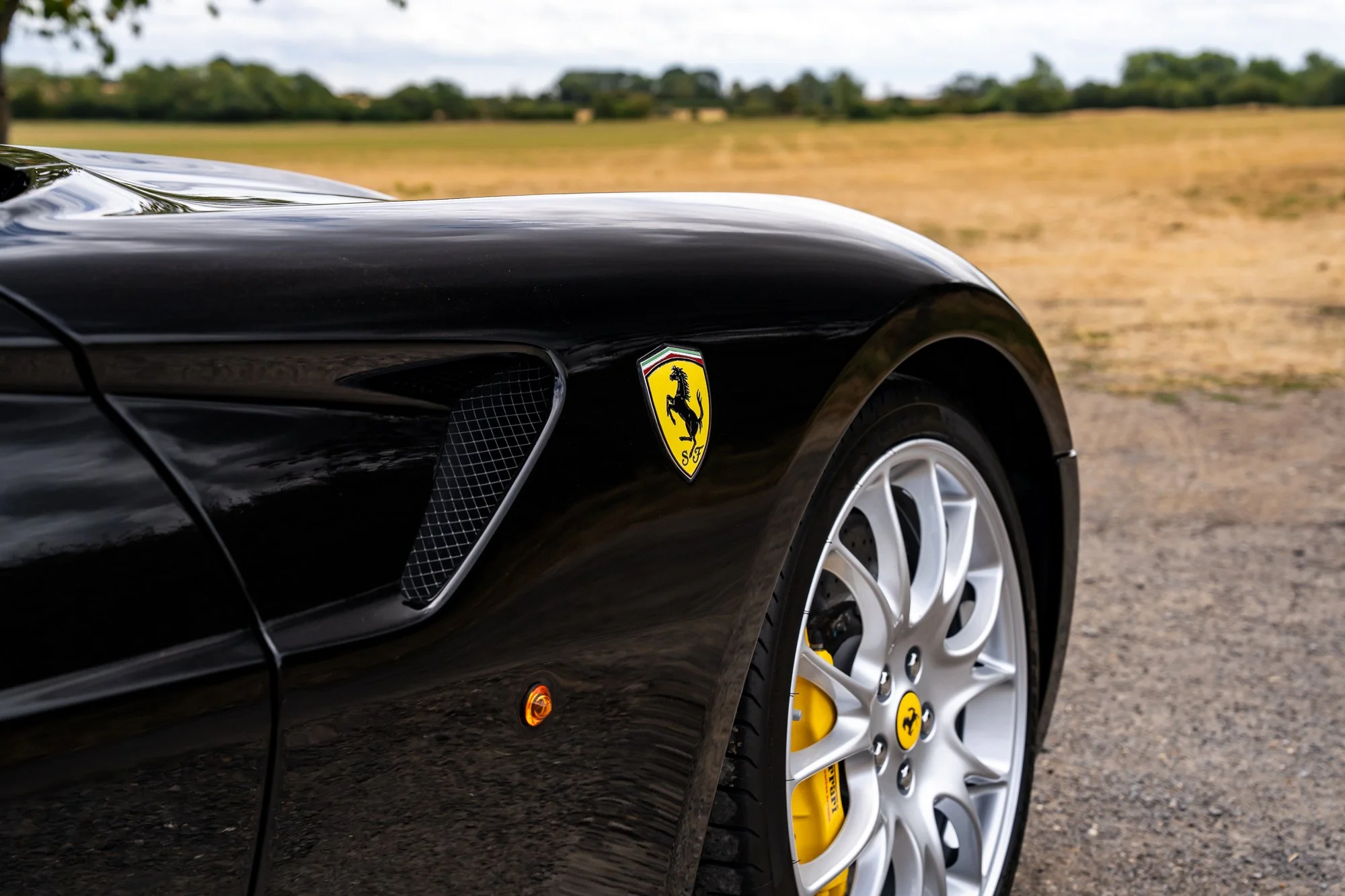 Ferrari_599_GTB_exterior-6.jpg