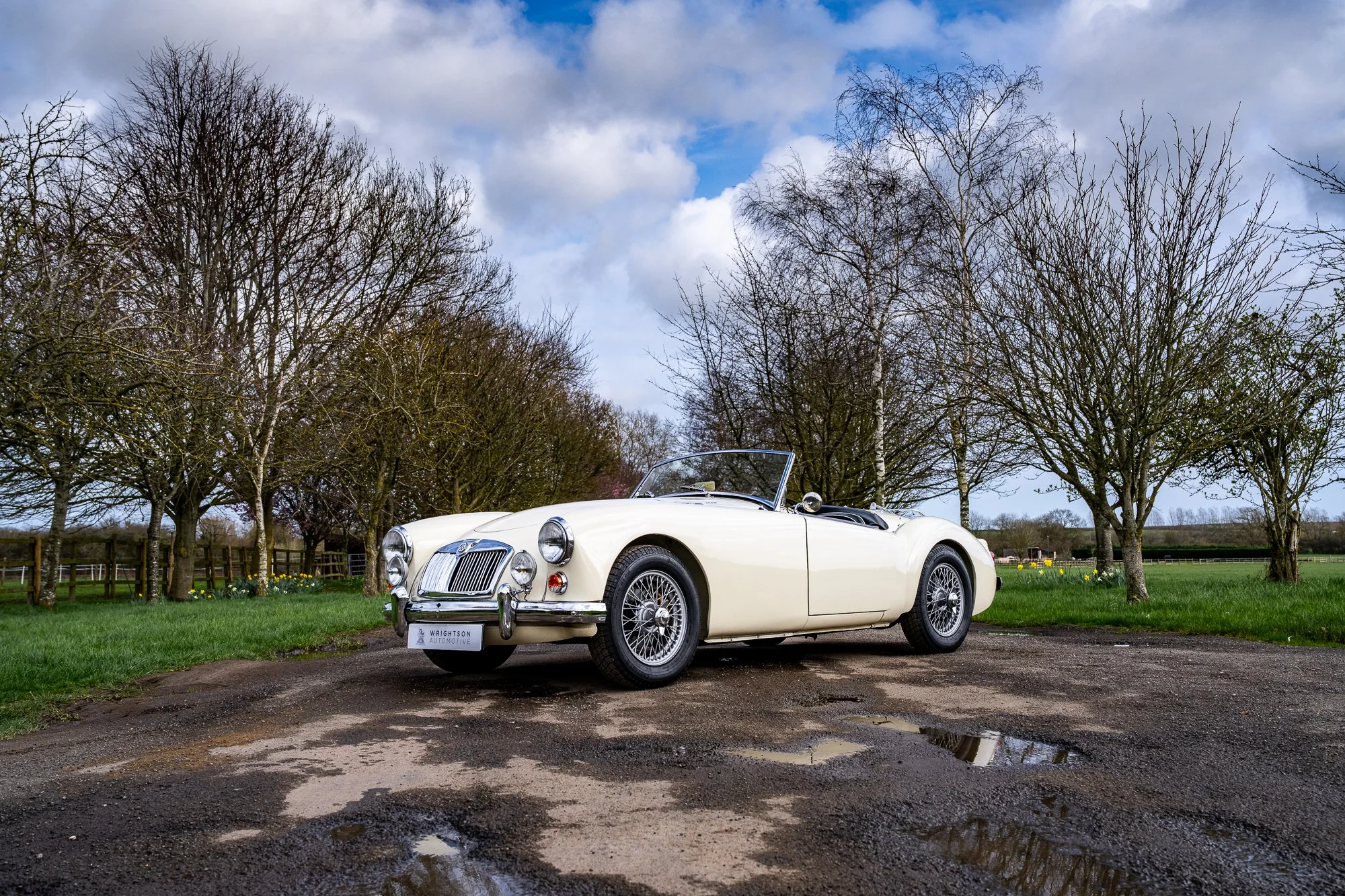 MGA-4.jpg
