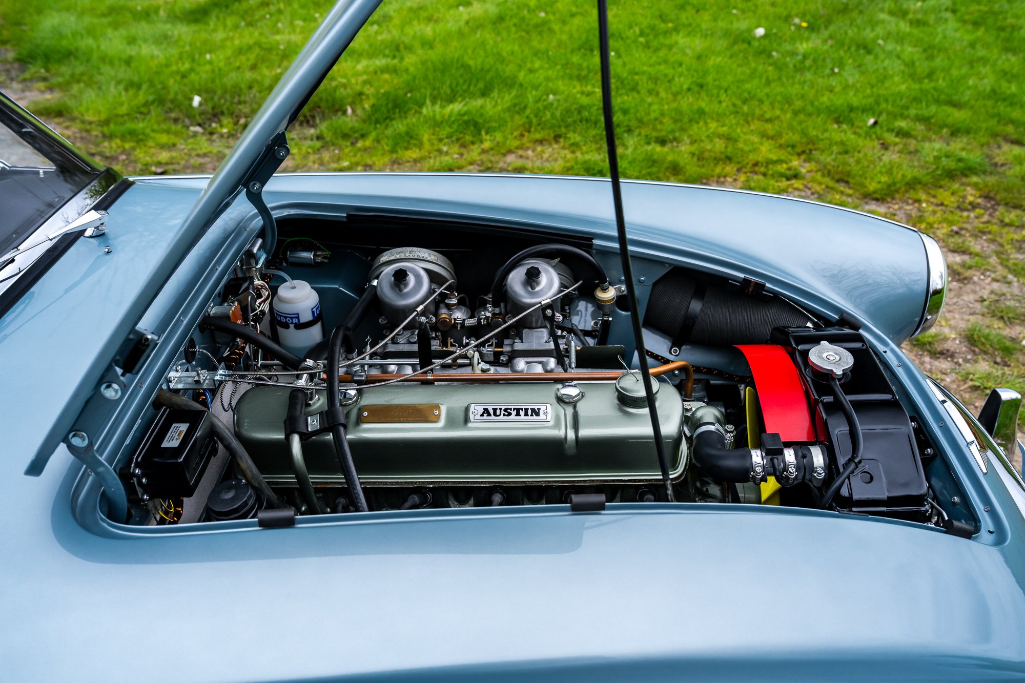 Austin Healey 3000_engine-11.jpg