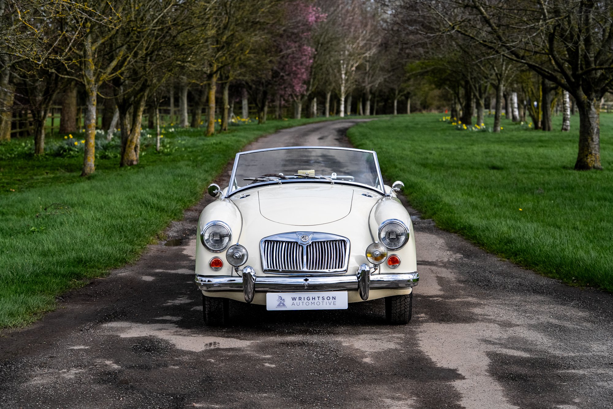 MGA-13.jpg