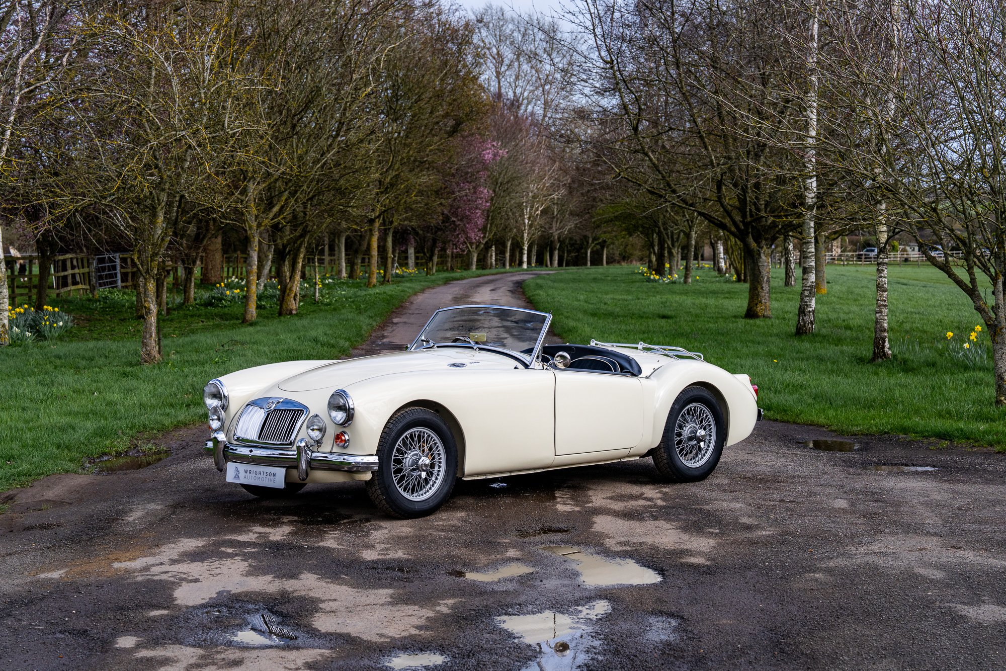 MGA-3.jpg