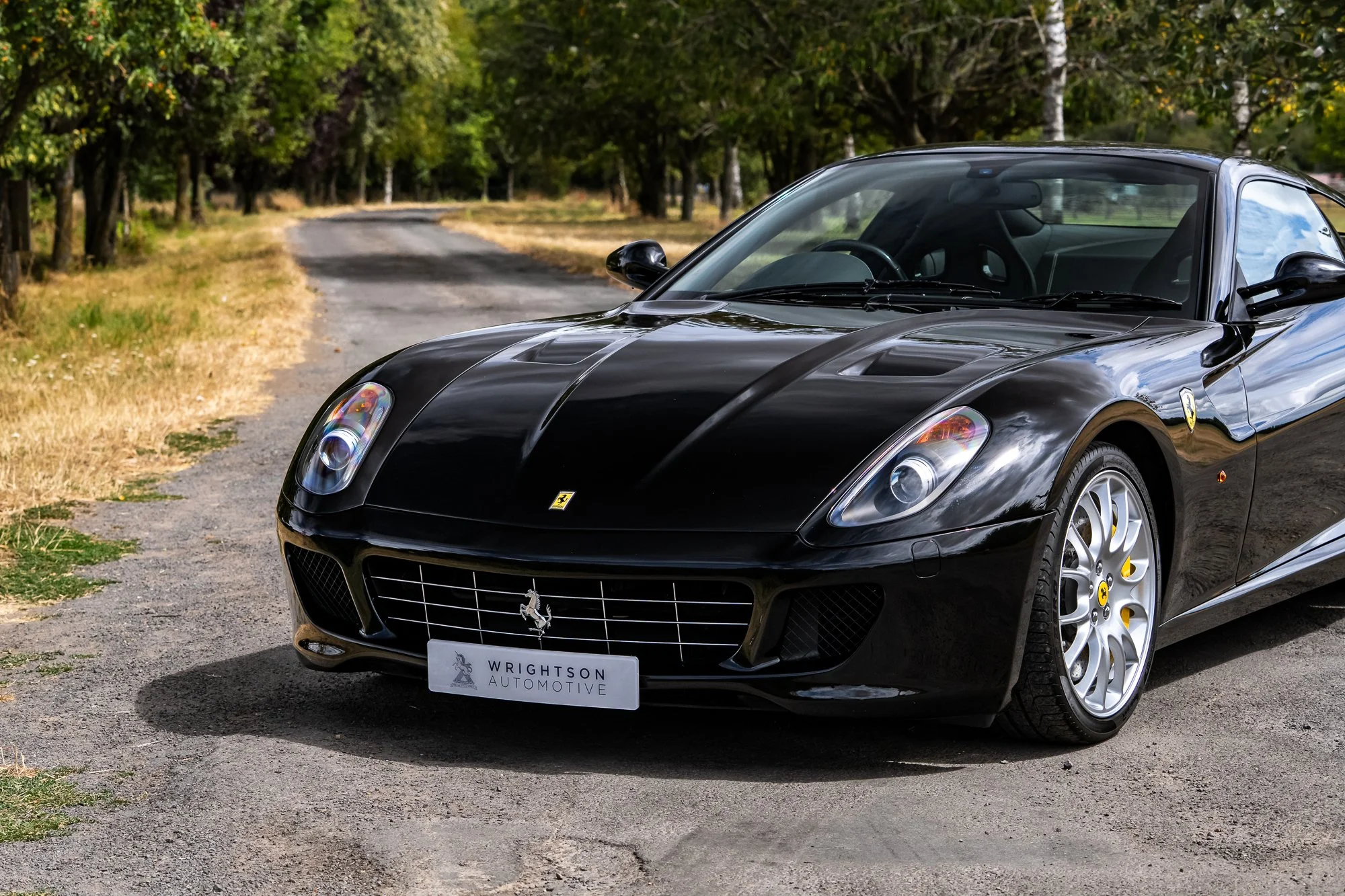 Ferrari_599_GTB_exterior-32.jpg
