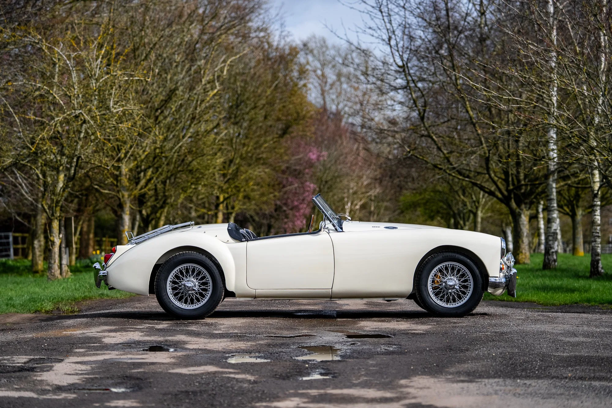 MGA-12.jpg