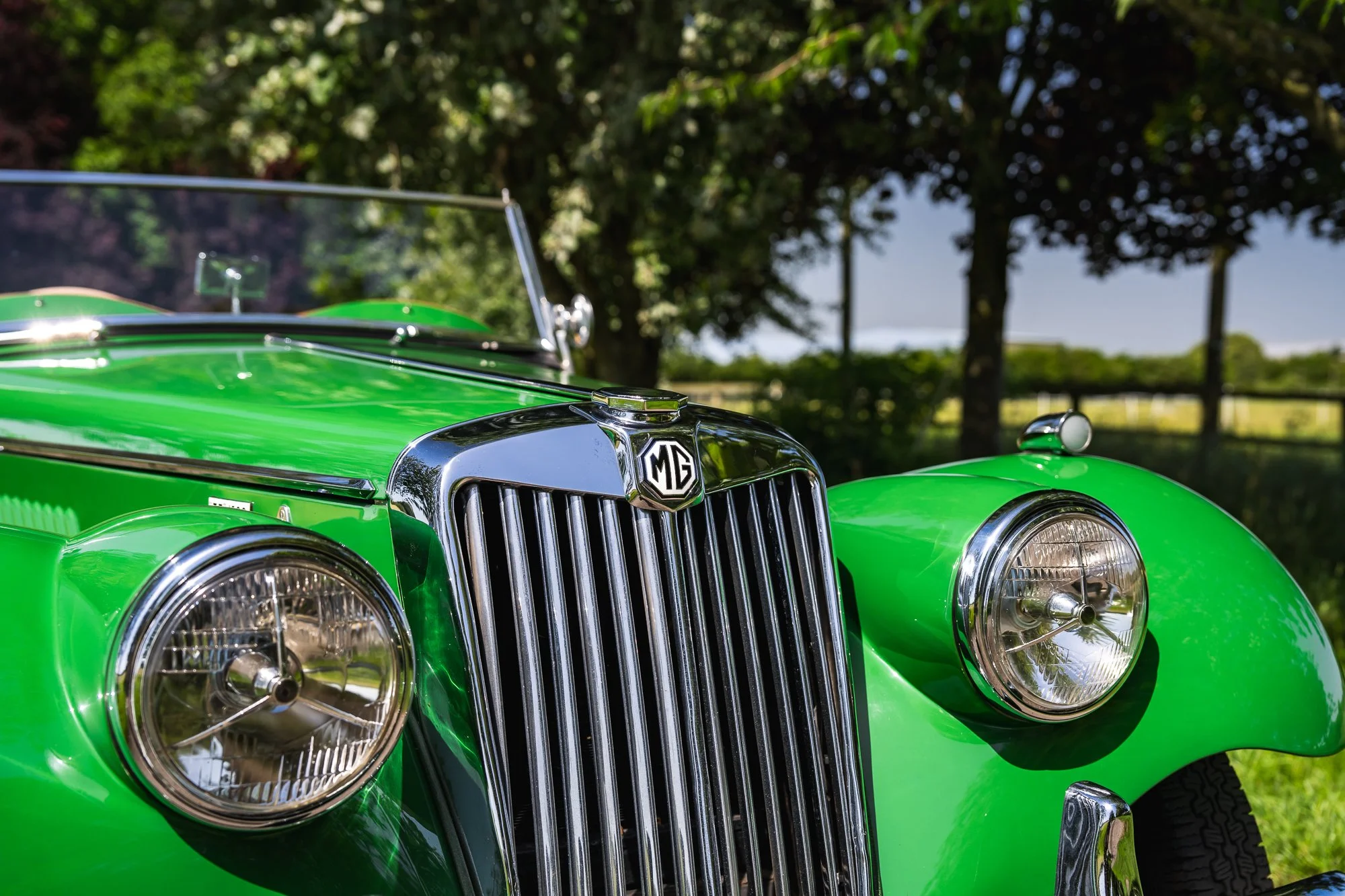MG_TF_exterior-15.jpg