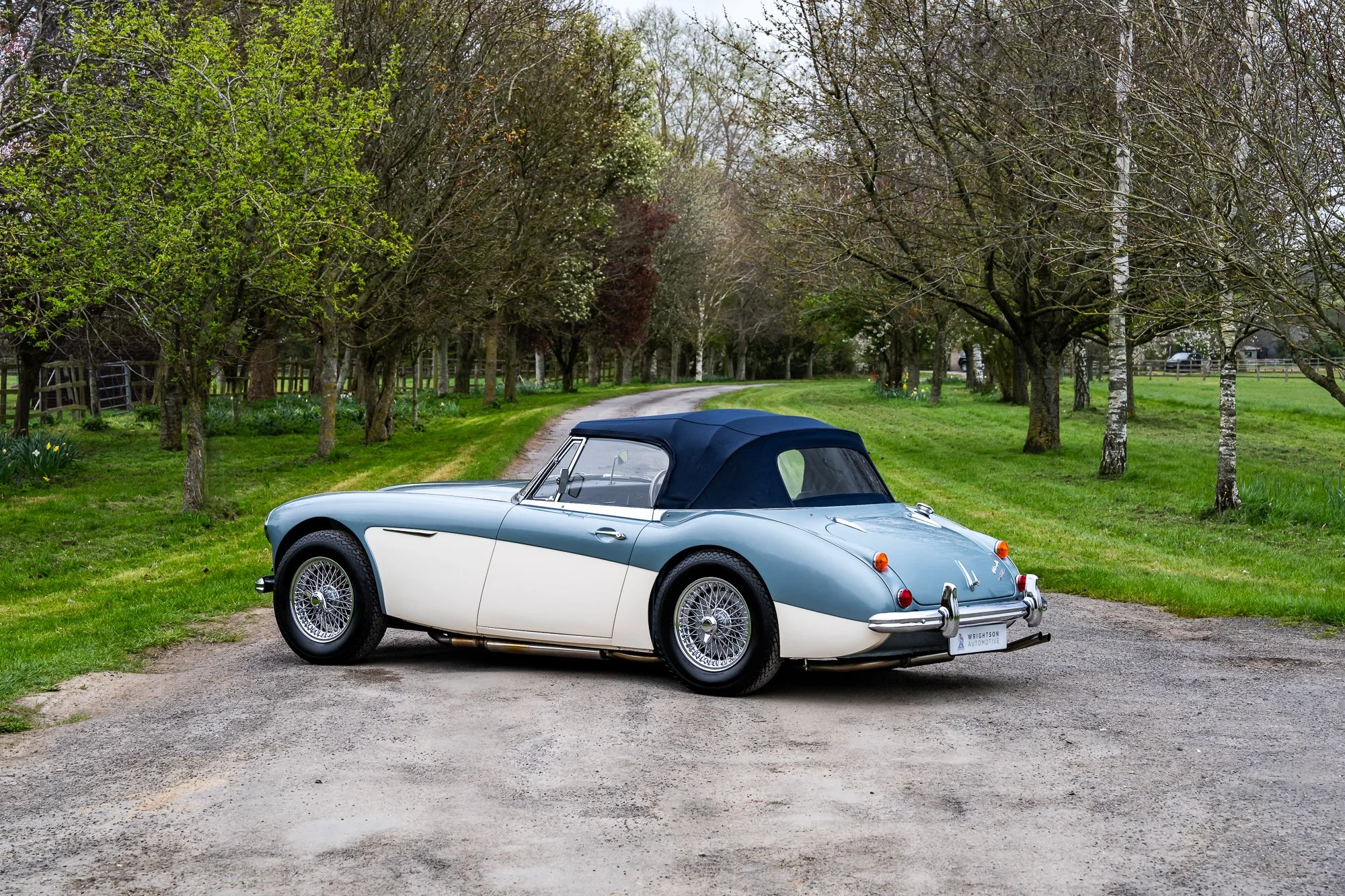 Austin Healey 3000-3.jpg