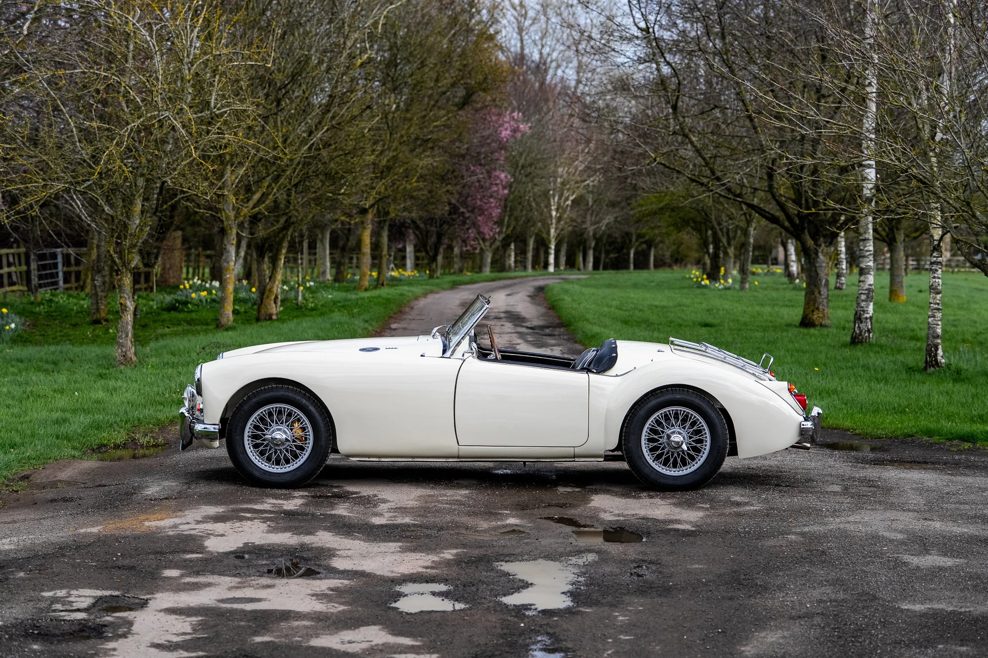 MGA-16.jpg