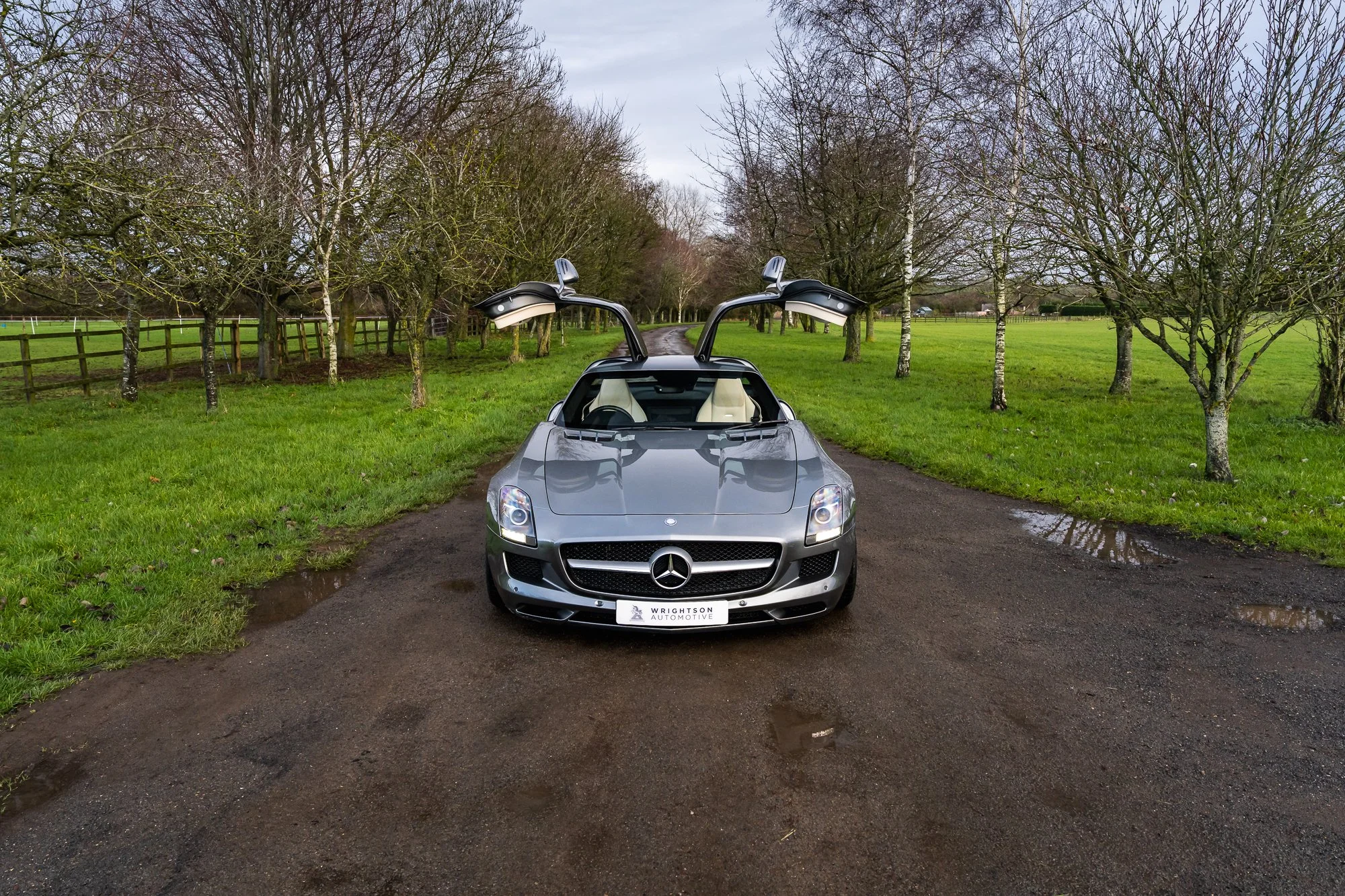 Mercedes-Benz_SLS_AMG-11.jpg