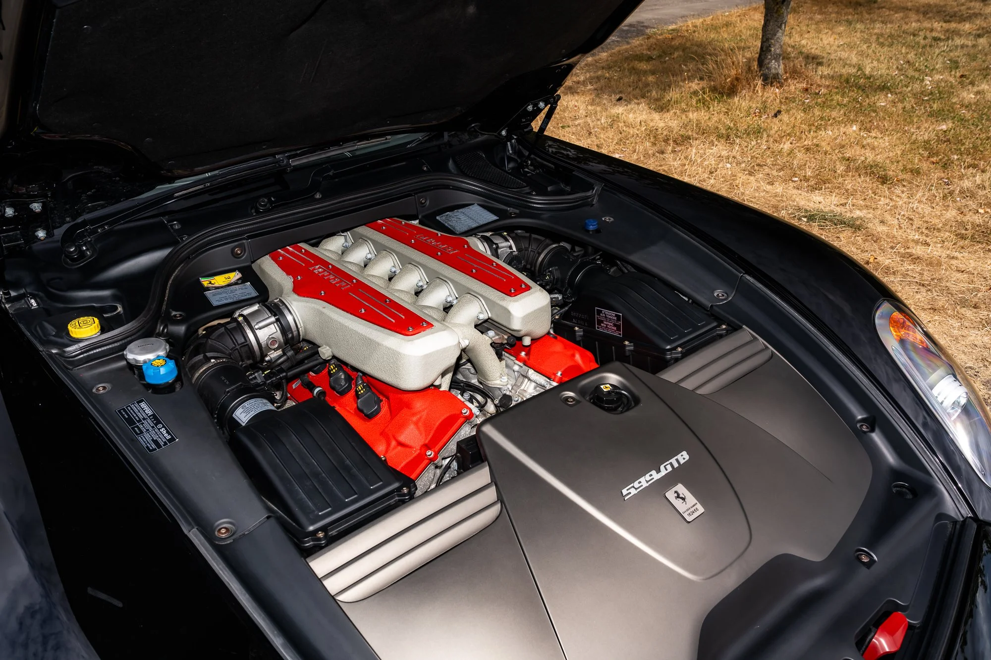 Ferrari_599_GTB_engine-2.jpg