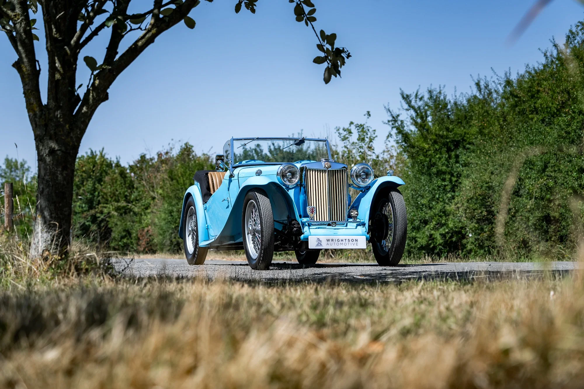 MG_TC-18.jpg