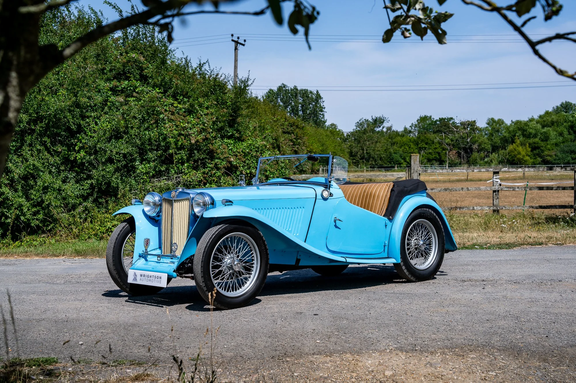 MG_TC-11.jpg