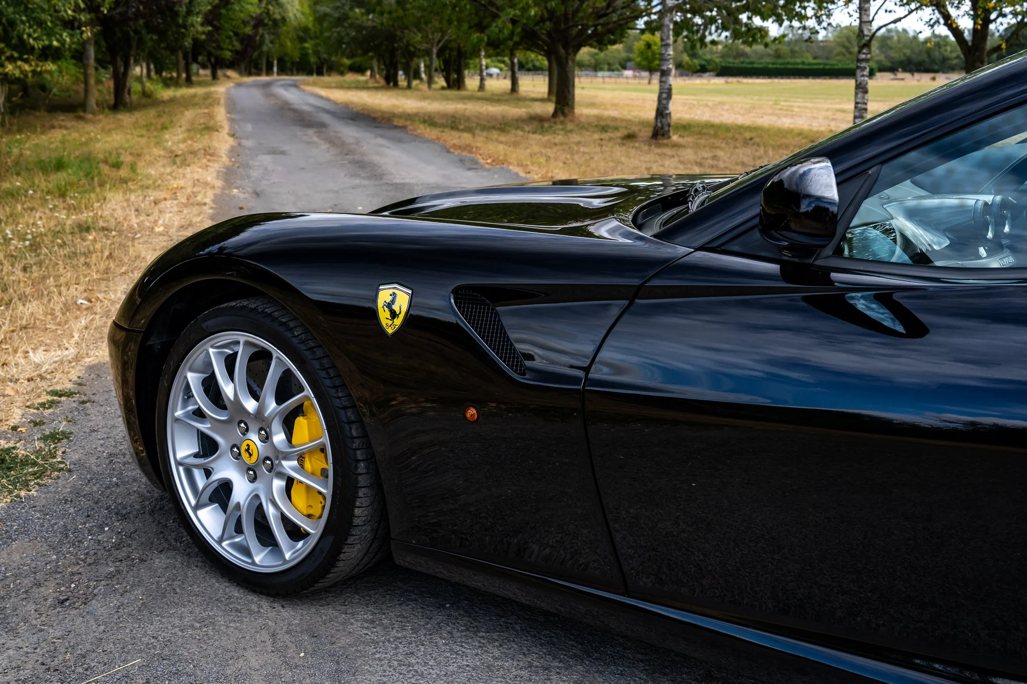 Ferrari_599_GTB_exterior-10.jpg