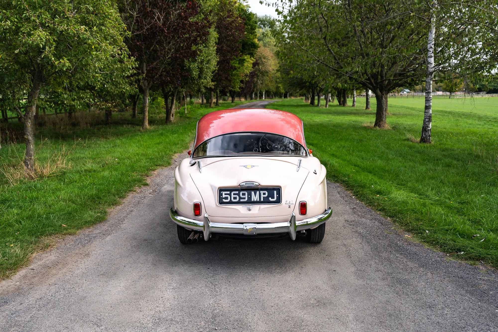 Jensen_541R-2.jpg