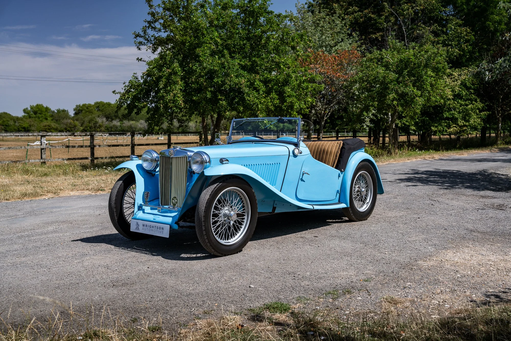 MG_TC-9.jpg