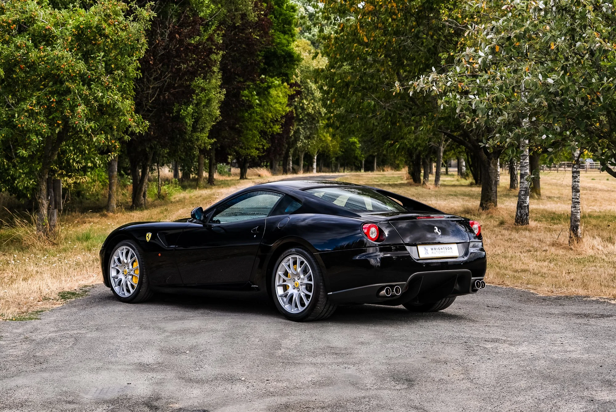 Ferrari_599_GTB-11.jpg