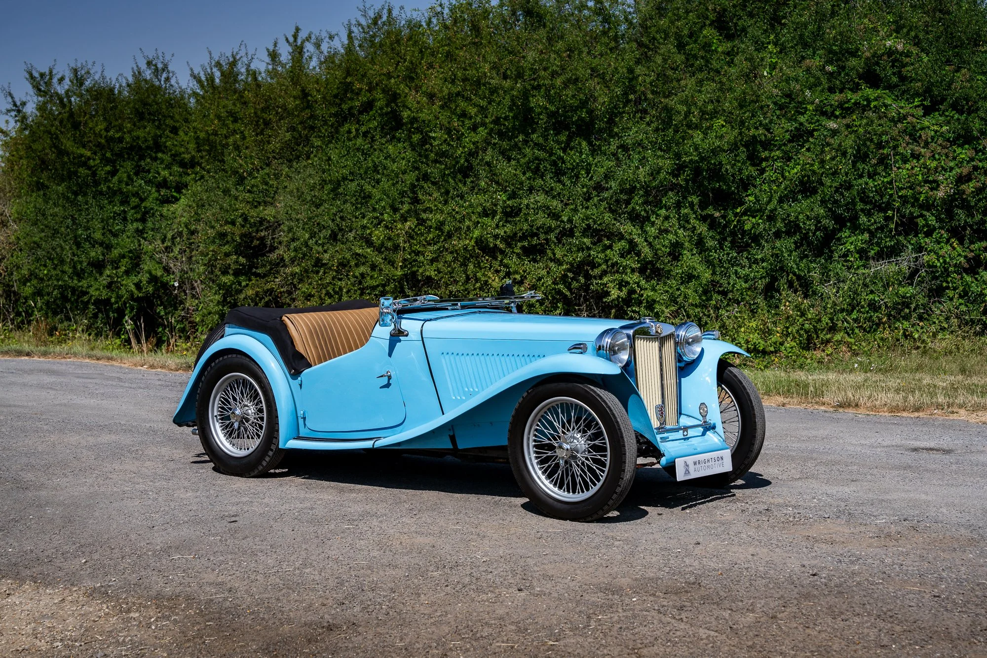 MG_TC-1.jpg