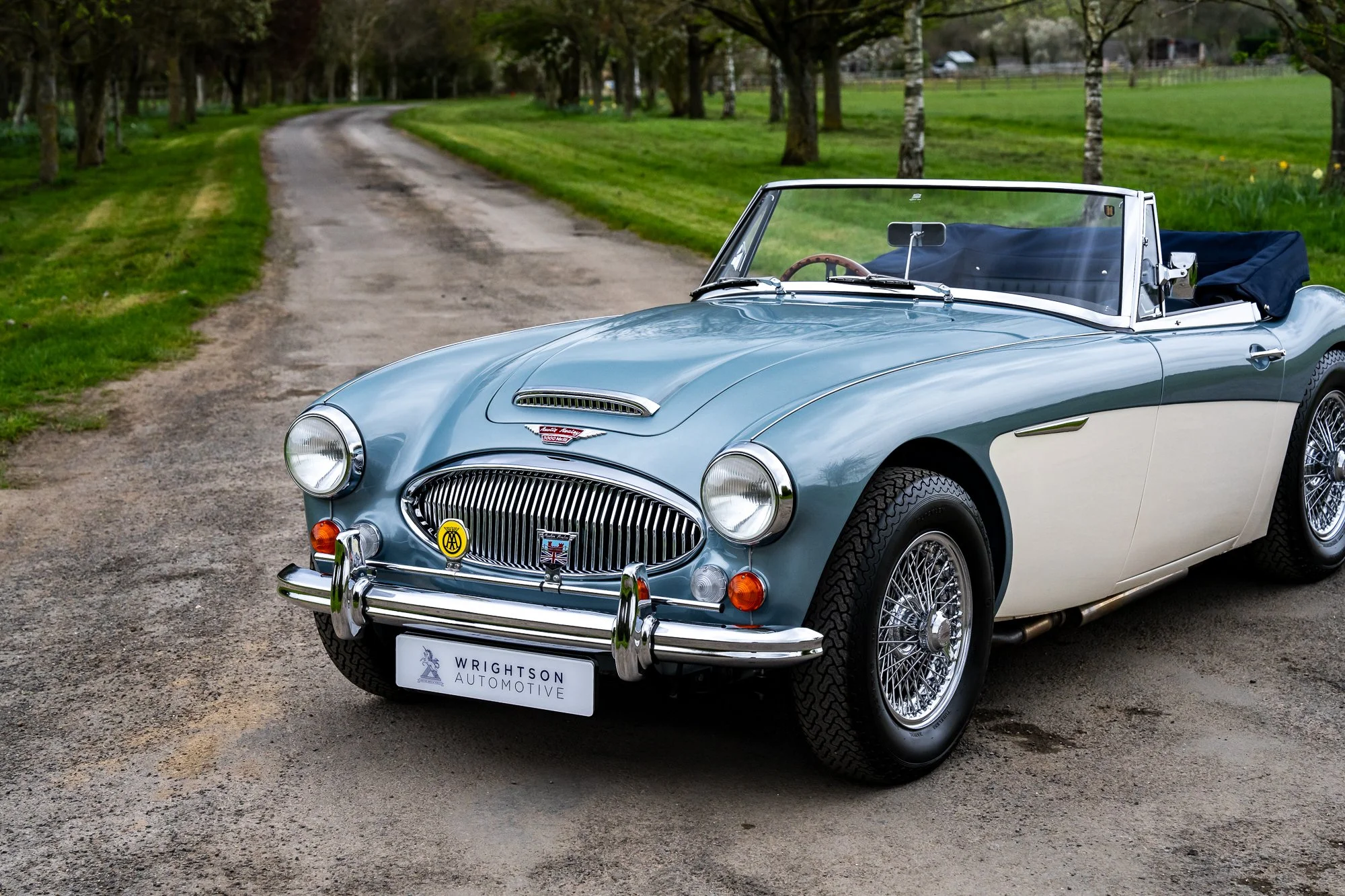 Austin Healey 3000_exterior-17.jpg