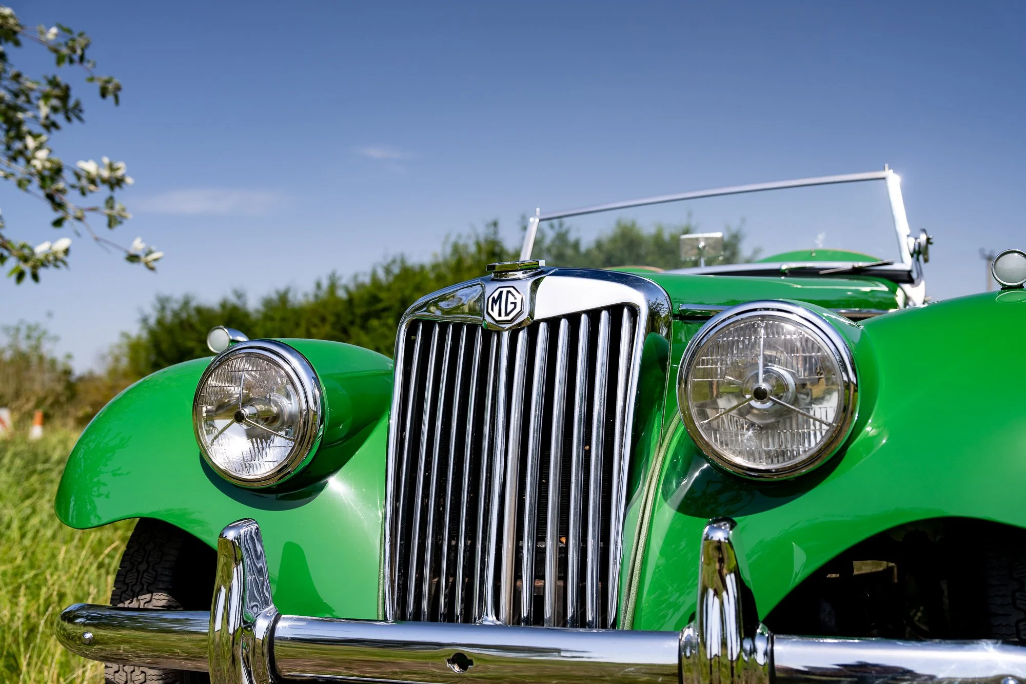 MG_TF_exterior-7.jpg