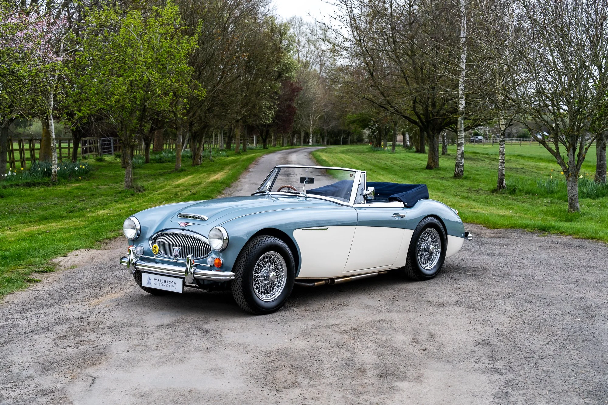 Austin Healey 3000-5.jpg