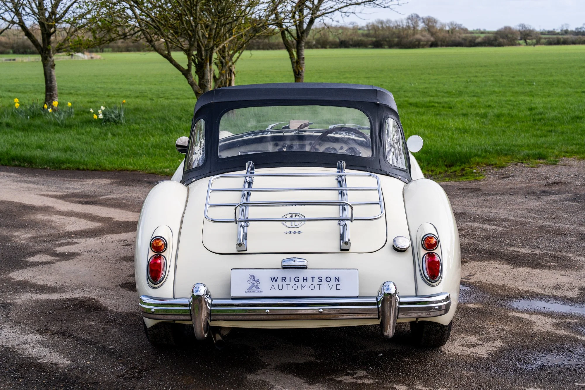 MGA-10.jpg
