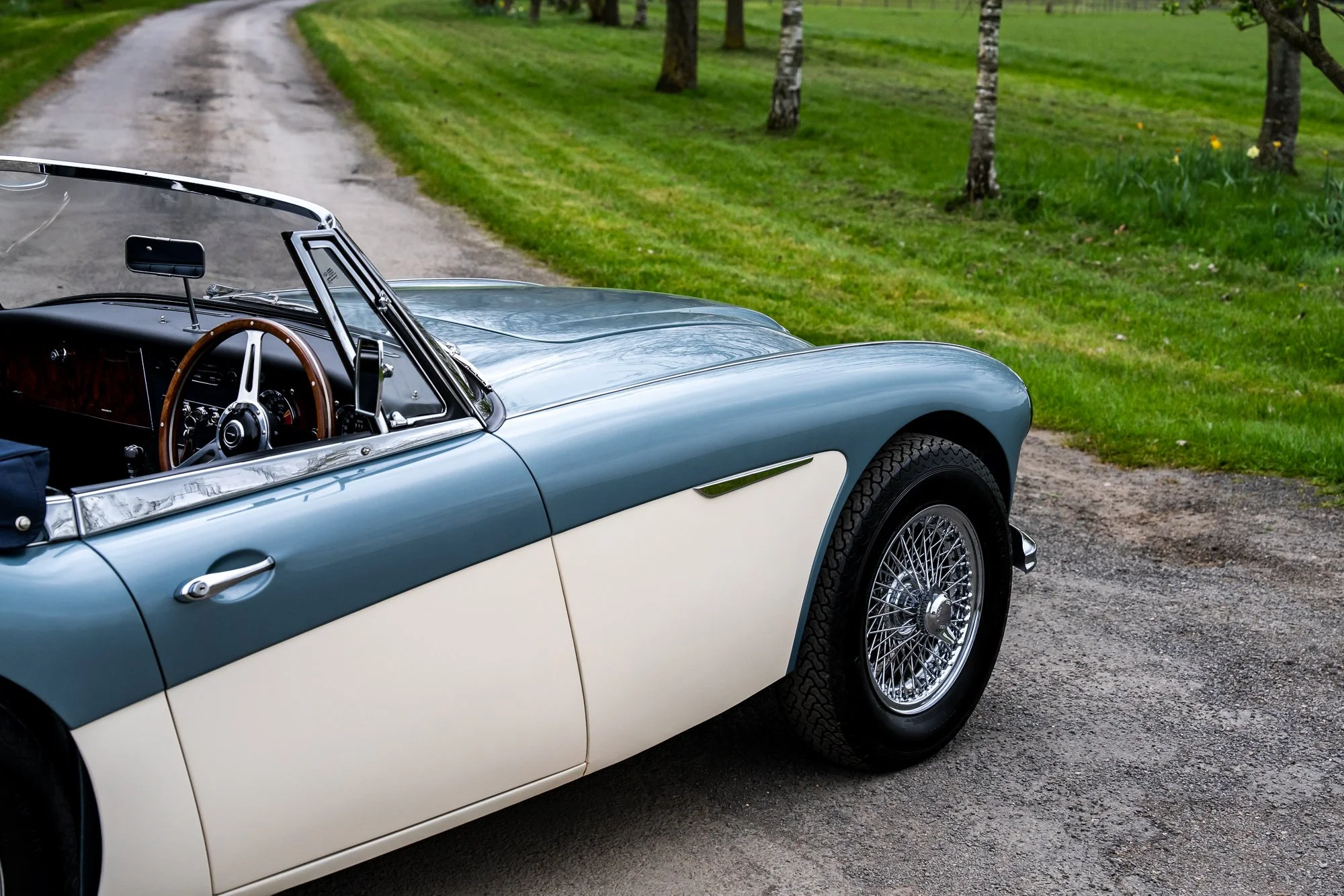 Austin Healey 3000_exterior-19.jpg