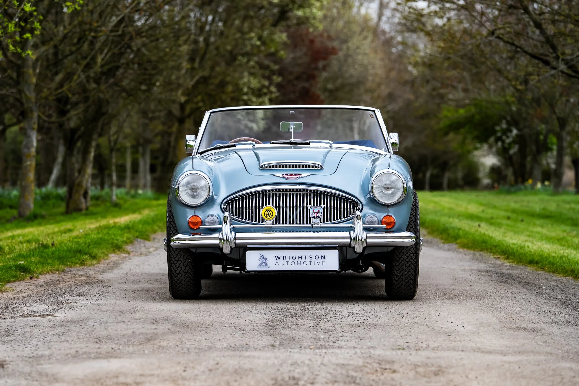 Austin Healey 3000-14.jpg