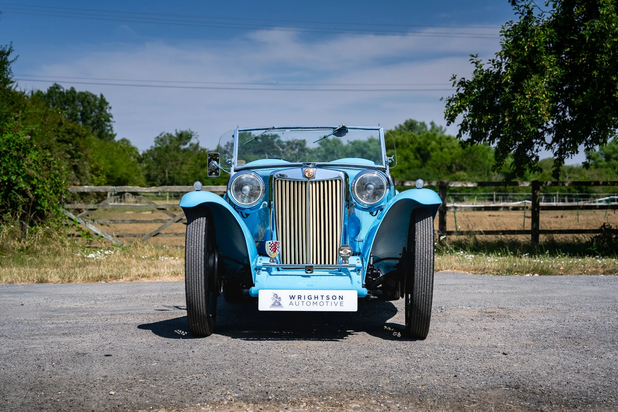 MG_TC-8.jpg