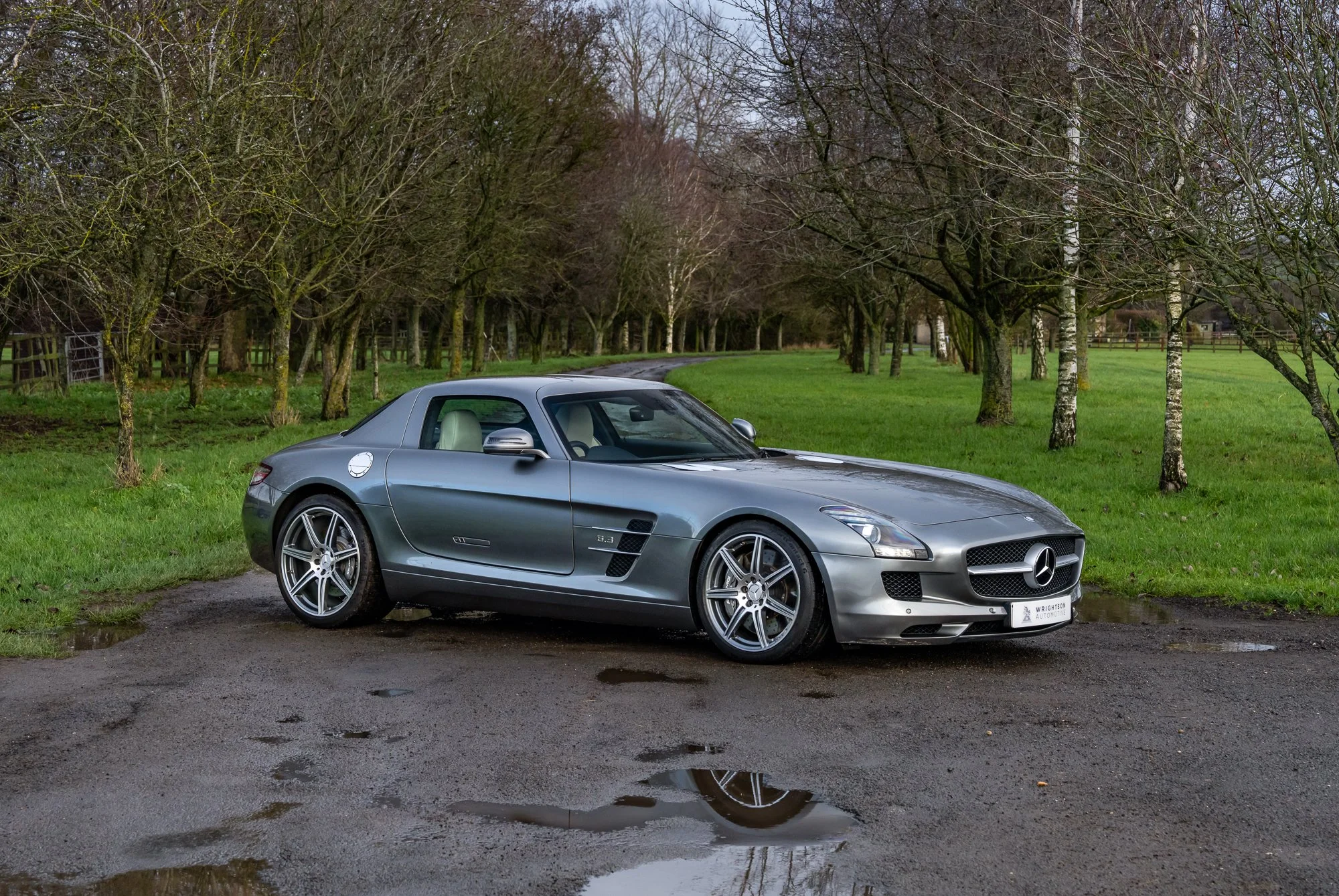 Mercedes-Benz_SLS_AMG-15.jpg