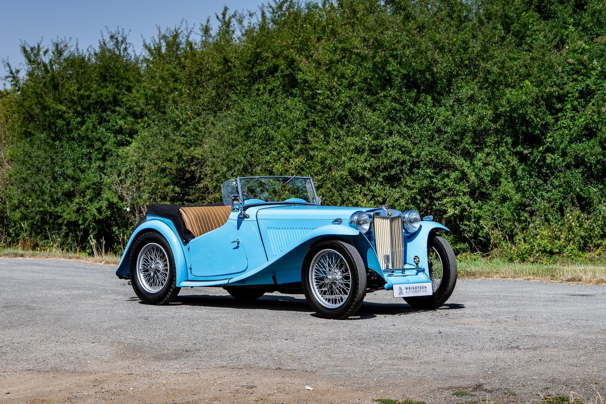 MG_TC-15.jpg