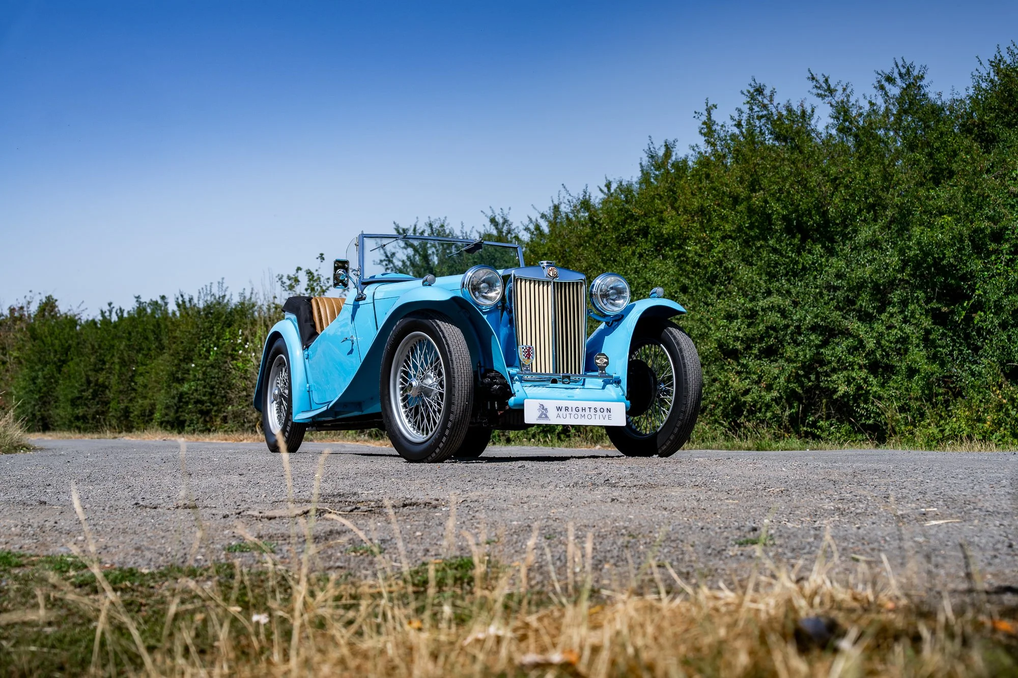 MG_TC-4.jpg